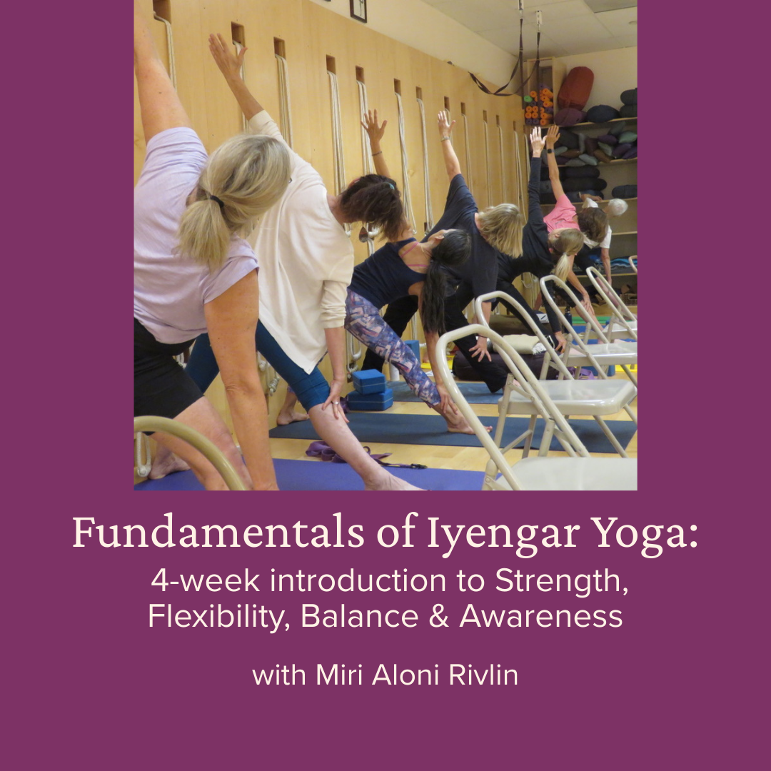 Fundamentals of Iyengar Yoga: 4-week introduction to Strength, Flexibility, Balance and Awareness with Miri Aloni Rivlin