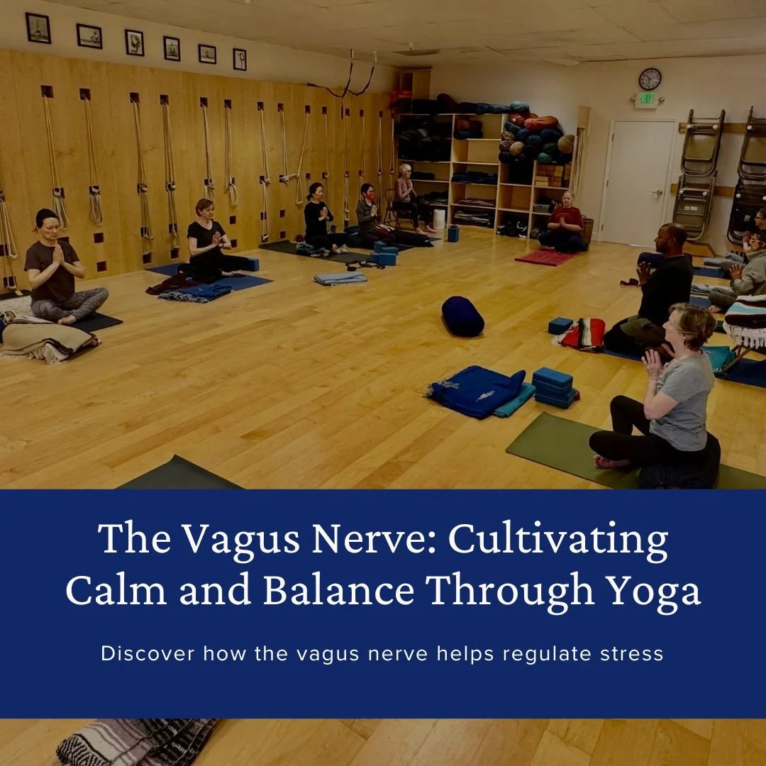 The Vagus Nerve: Cultivating Calm and Balance Through Yoga