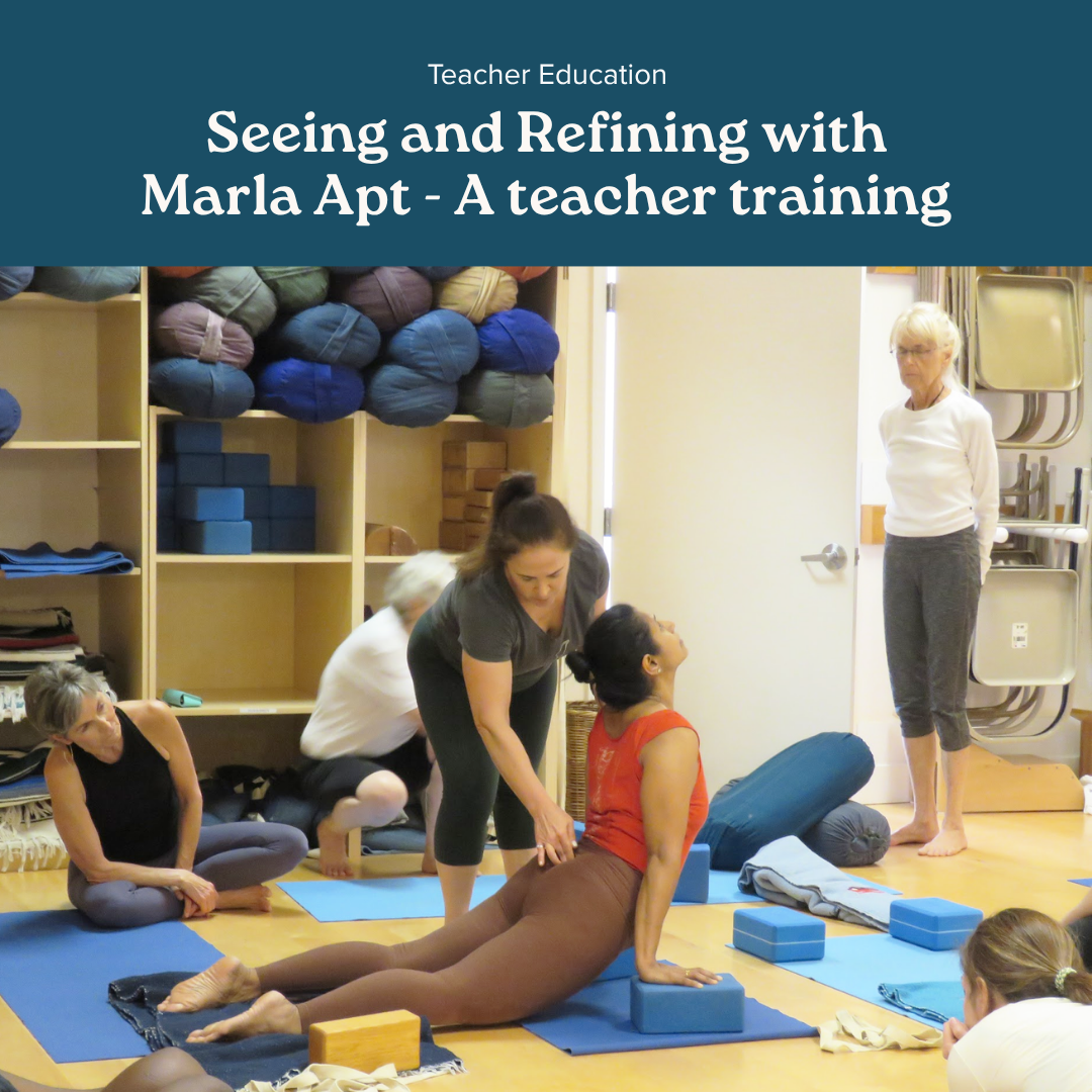 Seeing &amp; Refining&nbsp;with Marla Apt (Teacher Education)