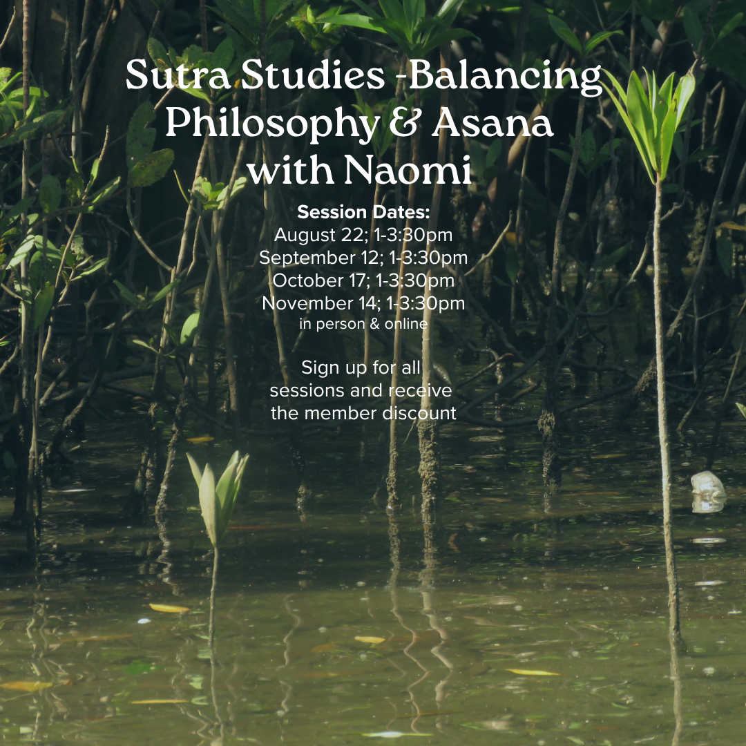 Sutra Studies -Balancing Philosophy and Asana with Naomi Hiller Reynolds