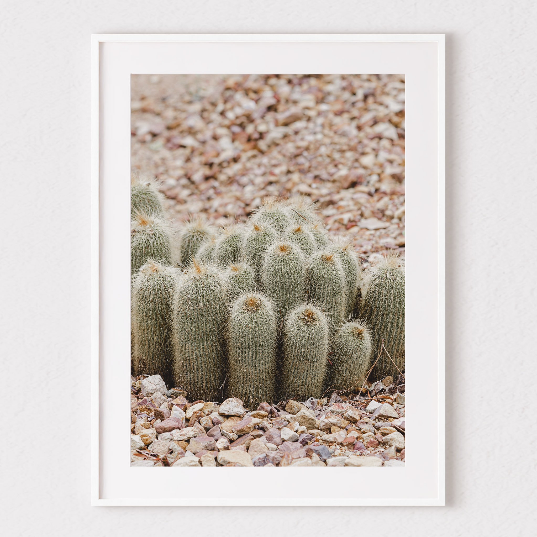 cactus love mock.jpg
