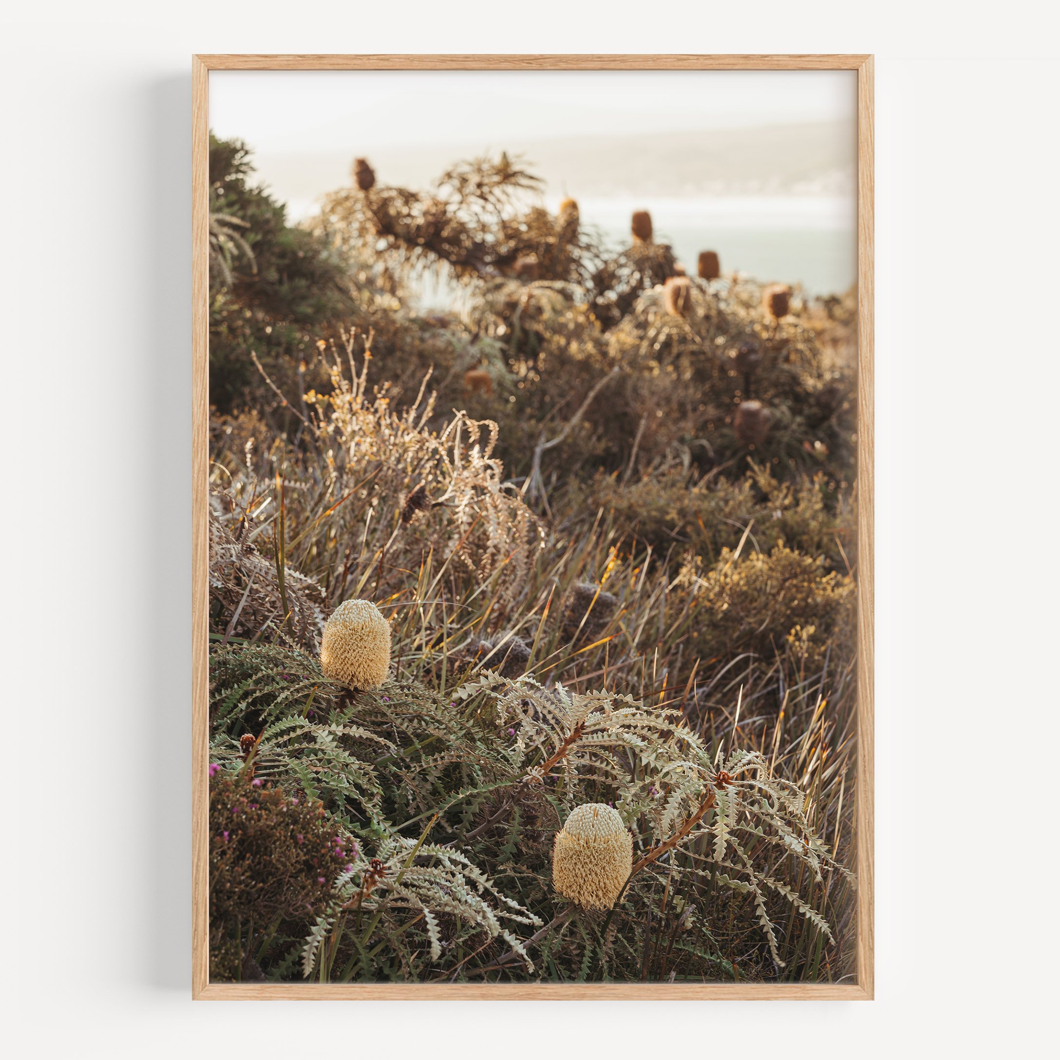 Showy Banksia Print Mock.jpg
