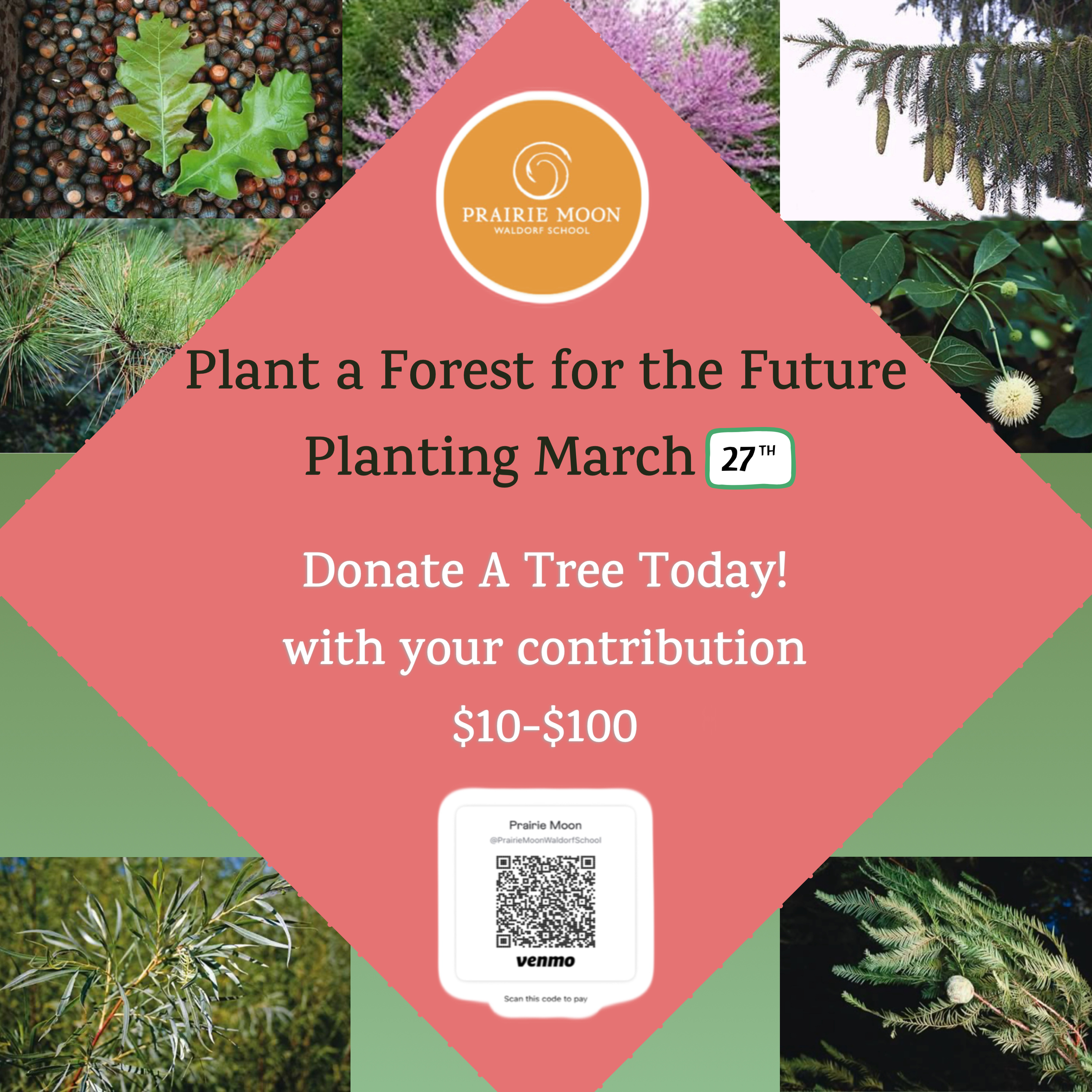 Planting PMWS Future Forest