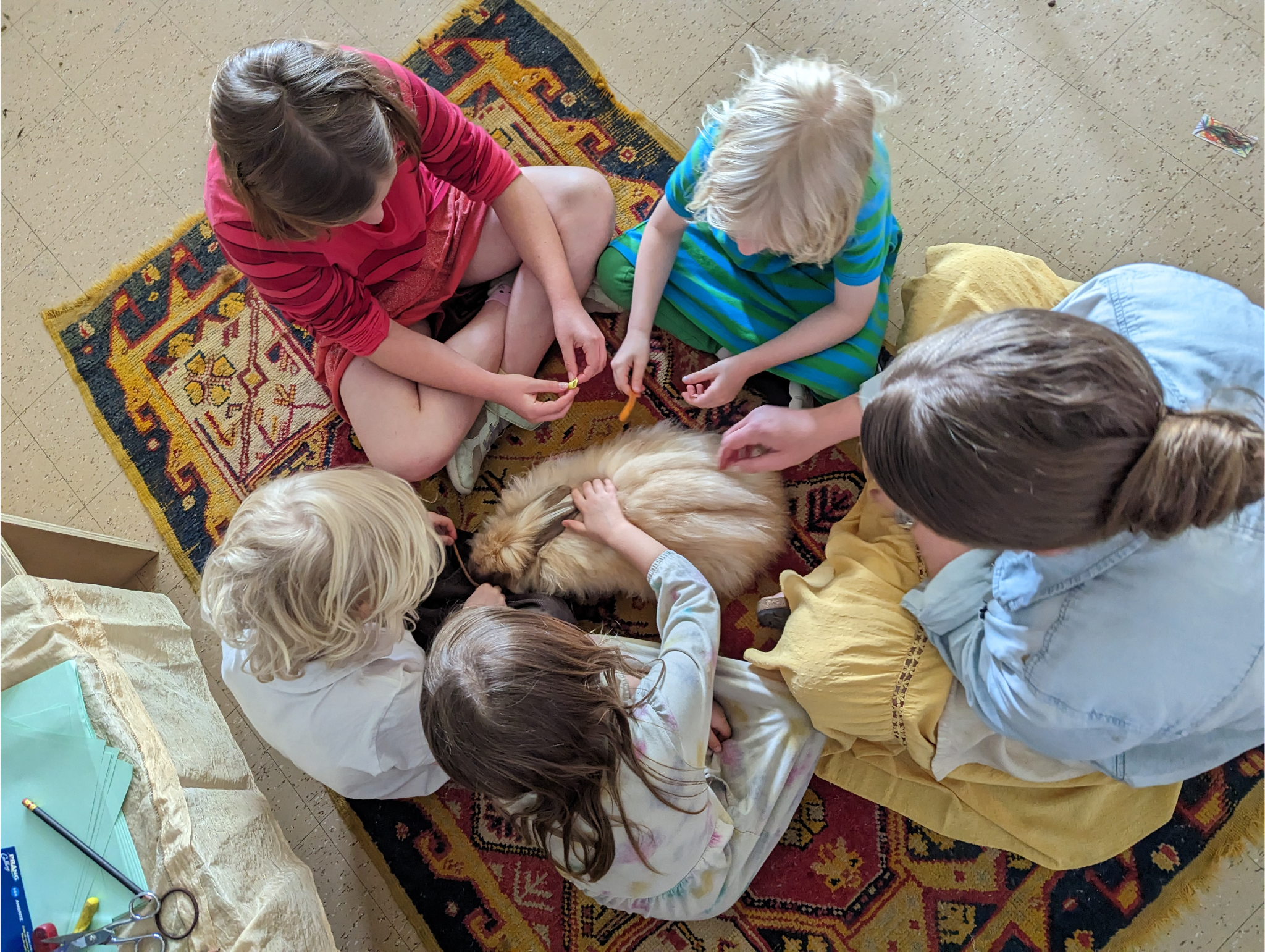 Untitled design (6).png