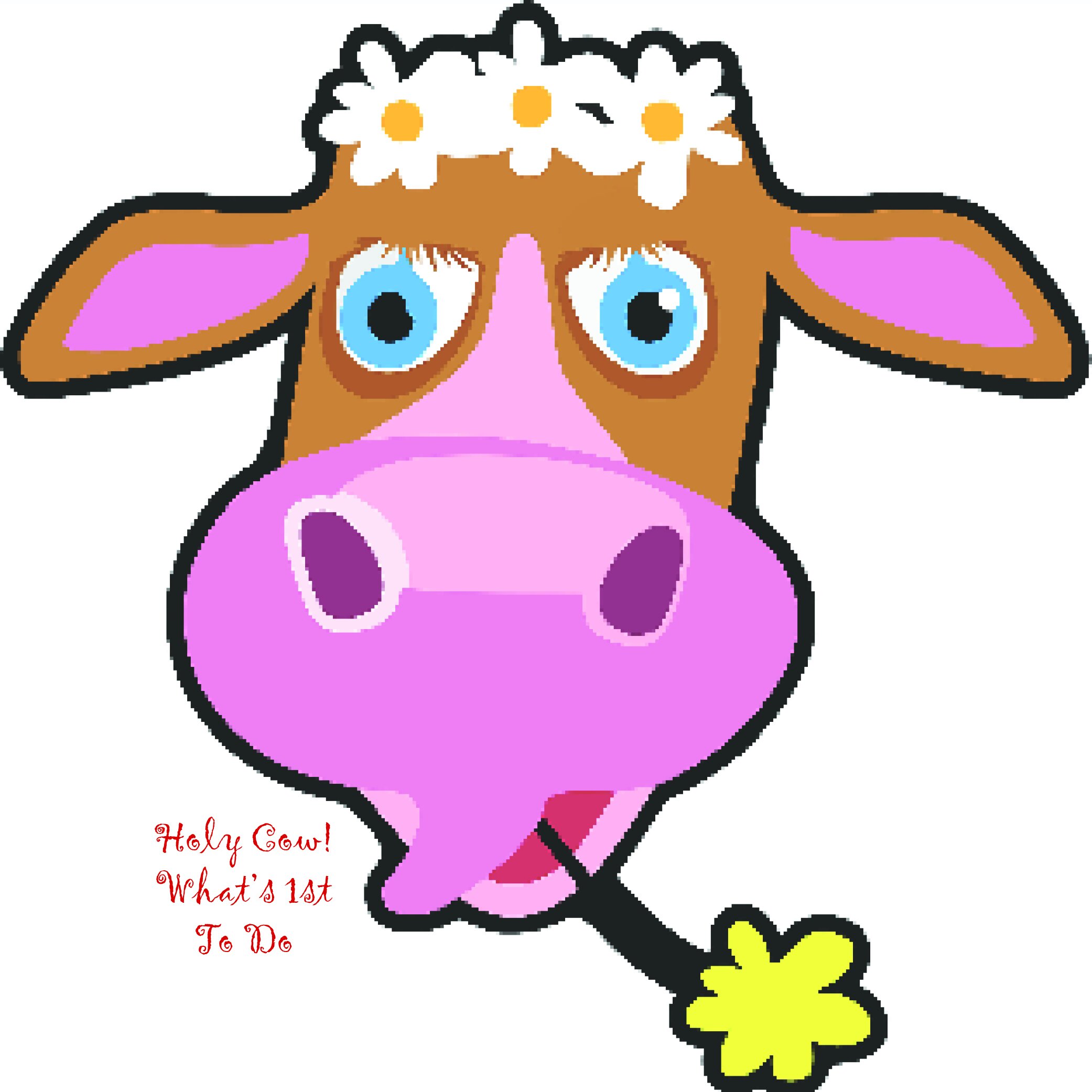holy cow! what's 1st to do 500X500.jpg