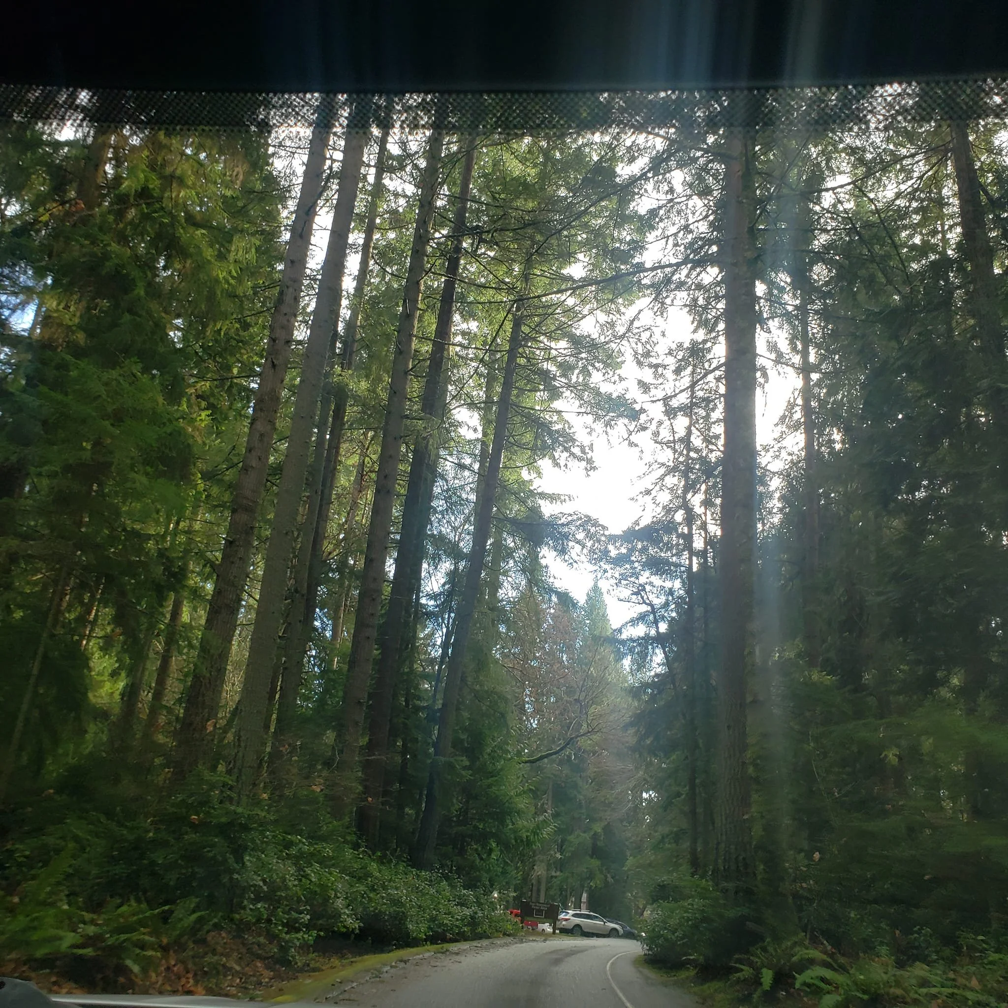 Love this park