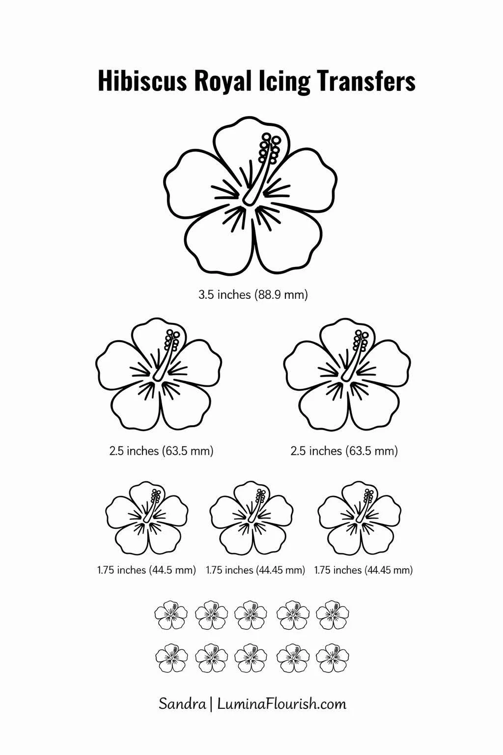 Hibiscus flower icing .jpg