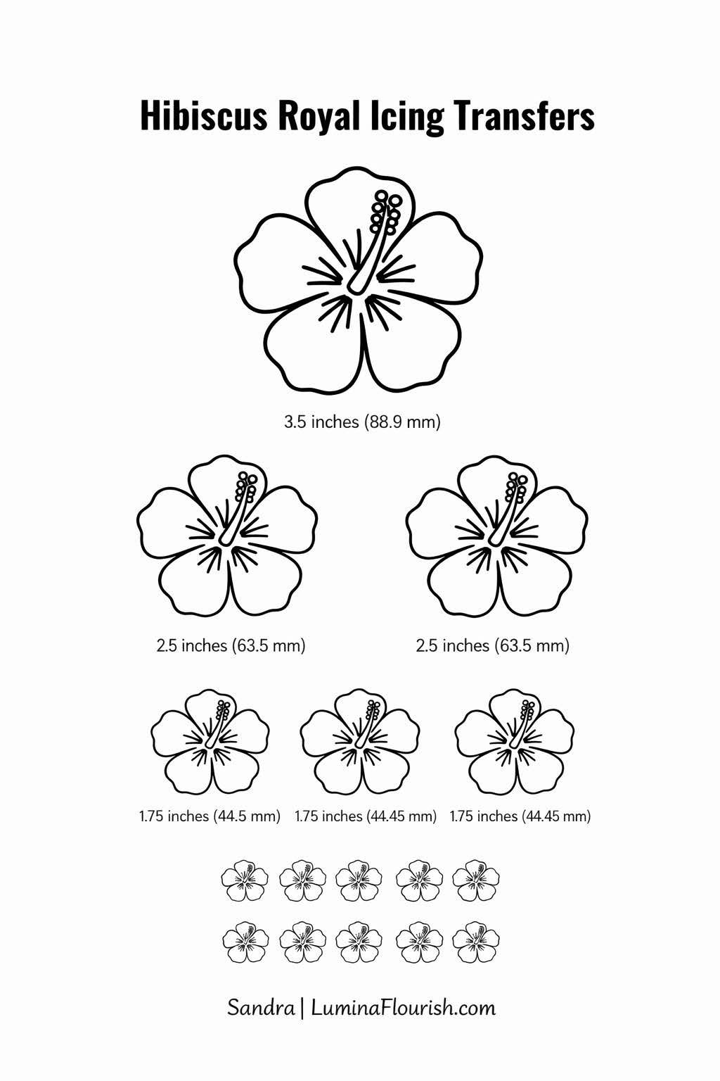 Hibiscus flower icing .png