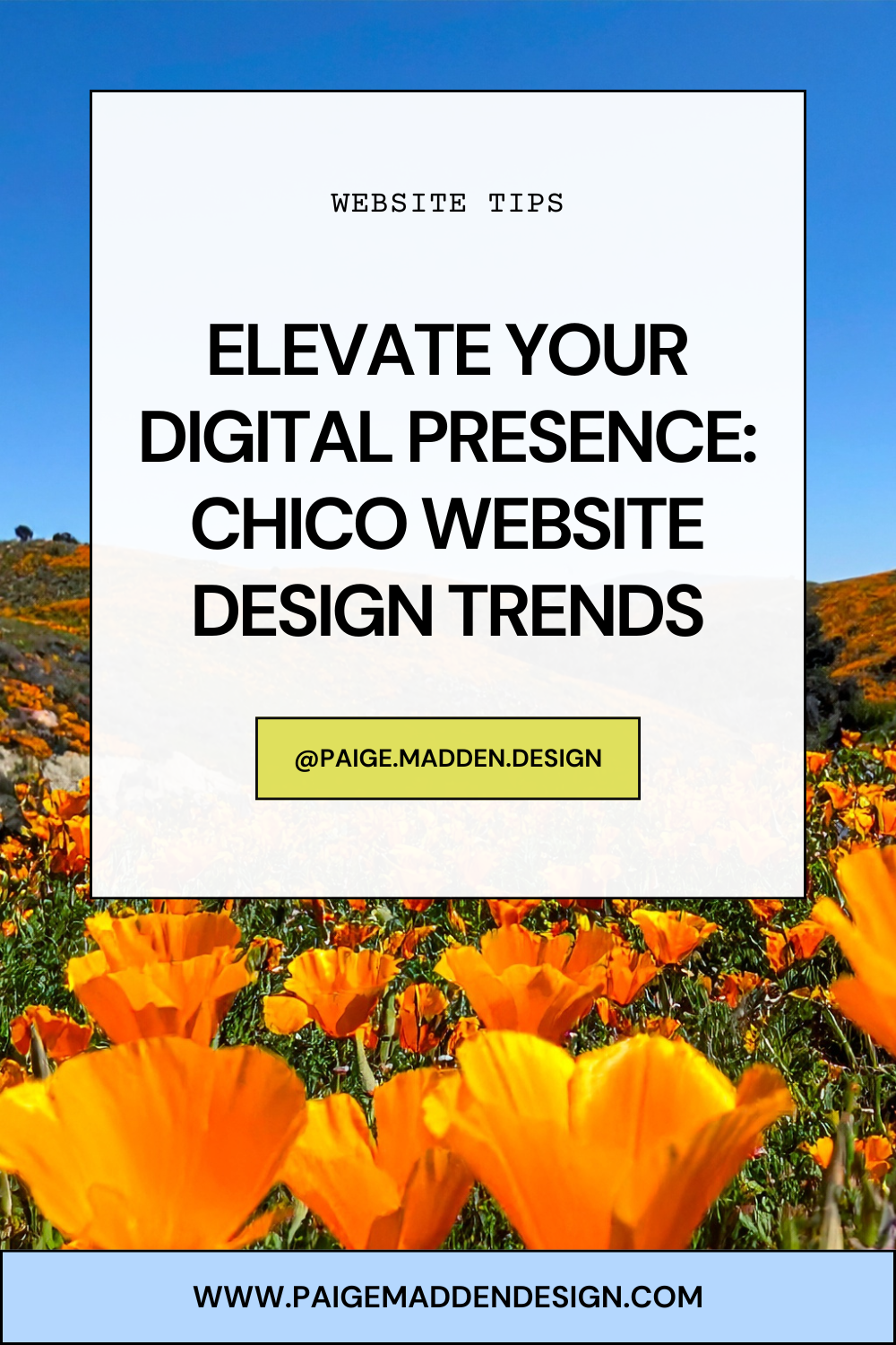 Elevate Your Digital Presence: Chico Website Design Trends