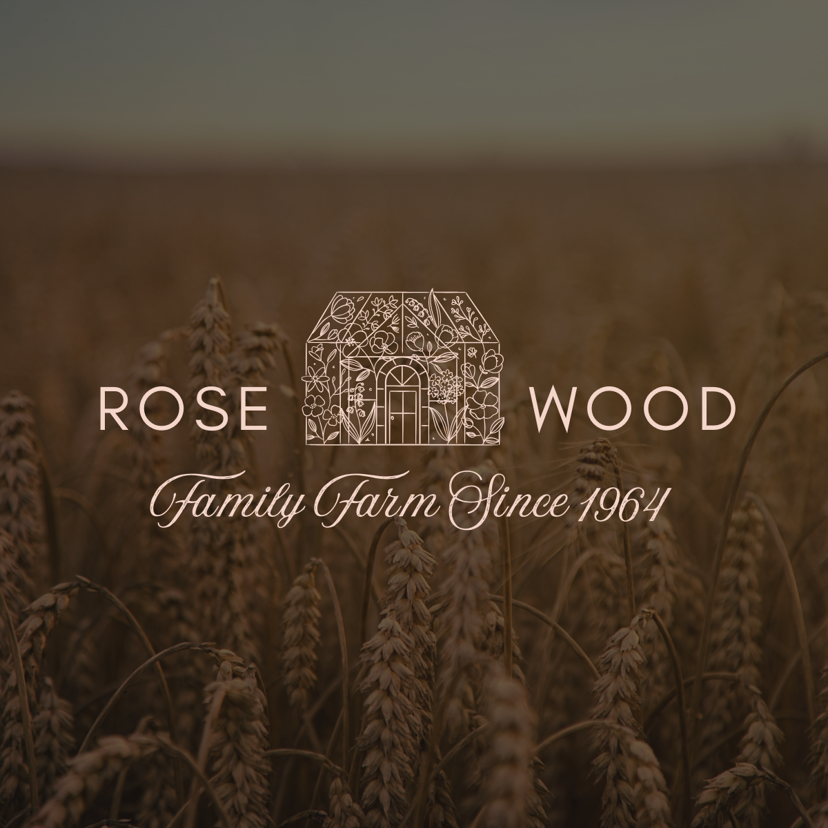Paige Madden Design | Hospitality Brand & Squarespace Web Designer | Chico, CA