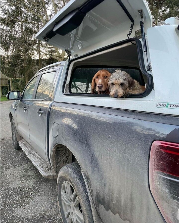 Happy #FarmDogFriday 🐶 We wouldn't mind having these two hanging out with us in the back of our truck! 
.
.
.
Photo cred: 📸 @adventureruffs
#Trellisinc #Farming #Dogs #IoT #Friday #farmdogs #farmdog