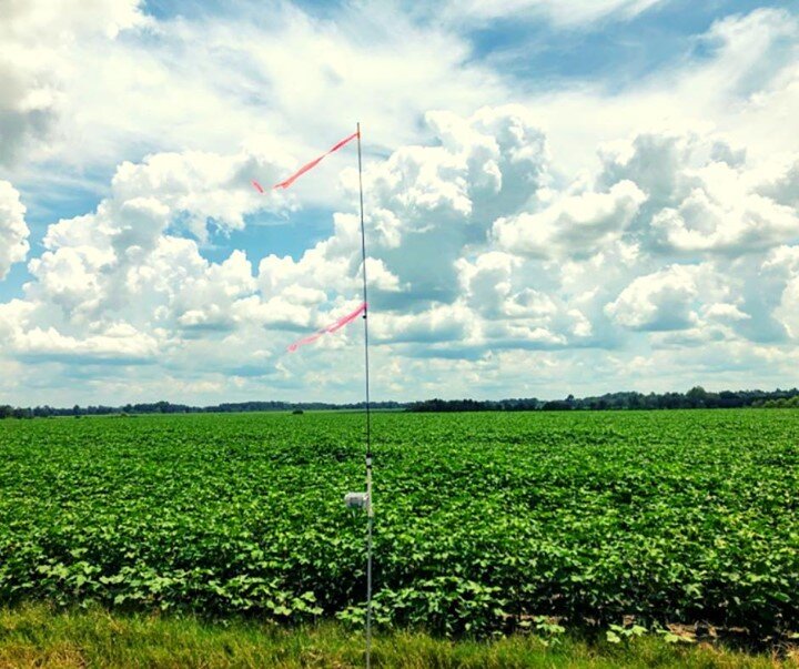 It's #TrellisTuesday 🌱 Here's a #Trellisinc Base Station at a warm cotton field on a 100 degree day to warm ya'll up. 🌞 Let us know if this helps 😎
.
.
.
#Cotton #Farming #Irrigation #IrrigationManagement #IoT #Agriculture
