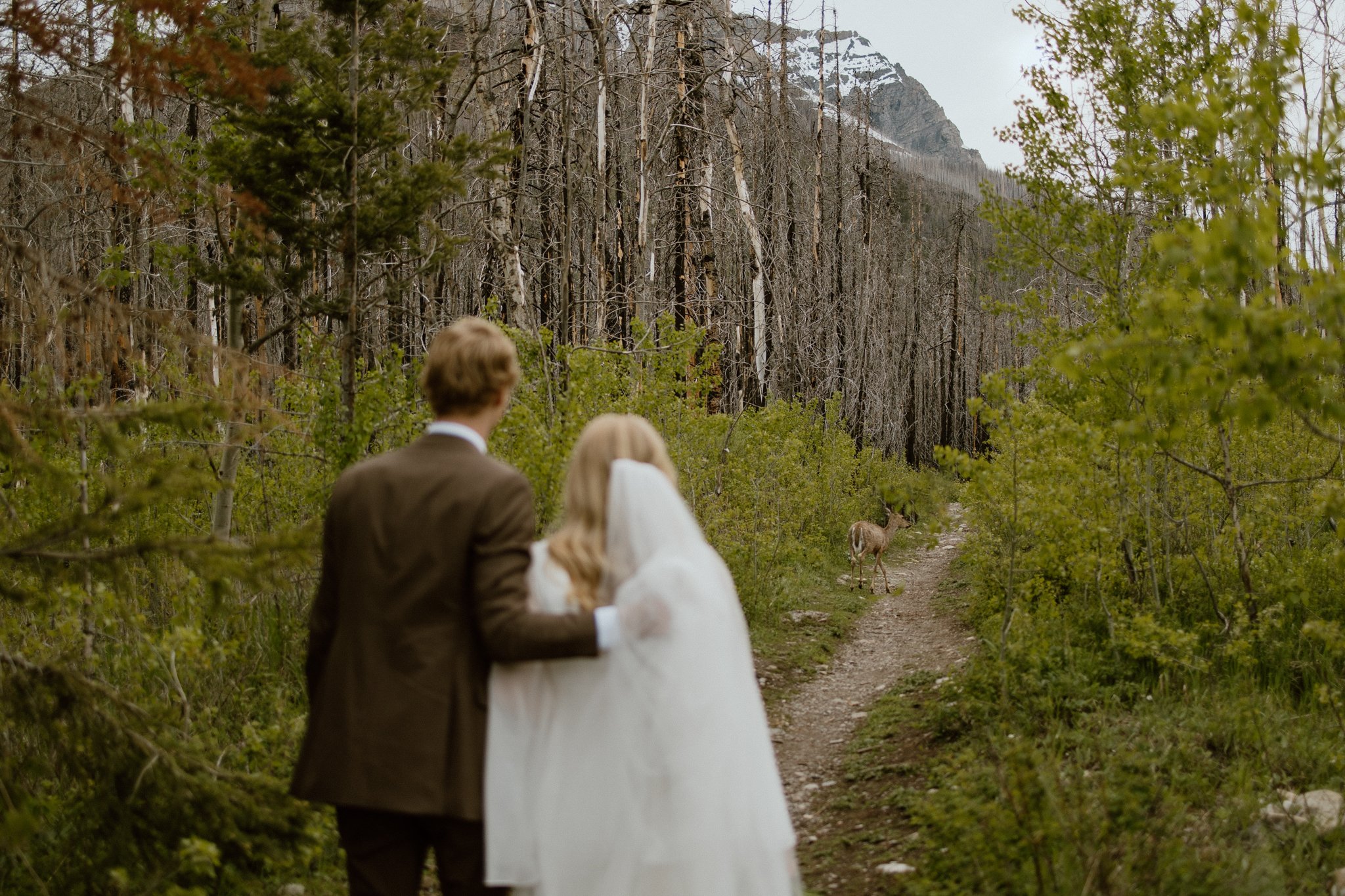 Waterton-wedding-photographer-love-and-be-loved-photography-hannah-ridge-sloan-48.jpg