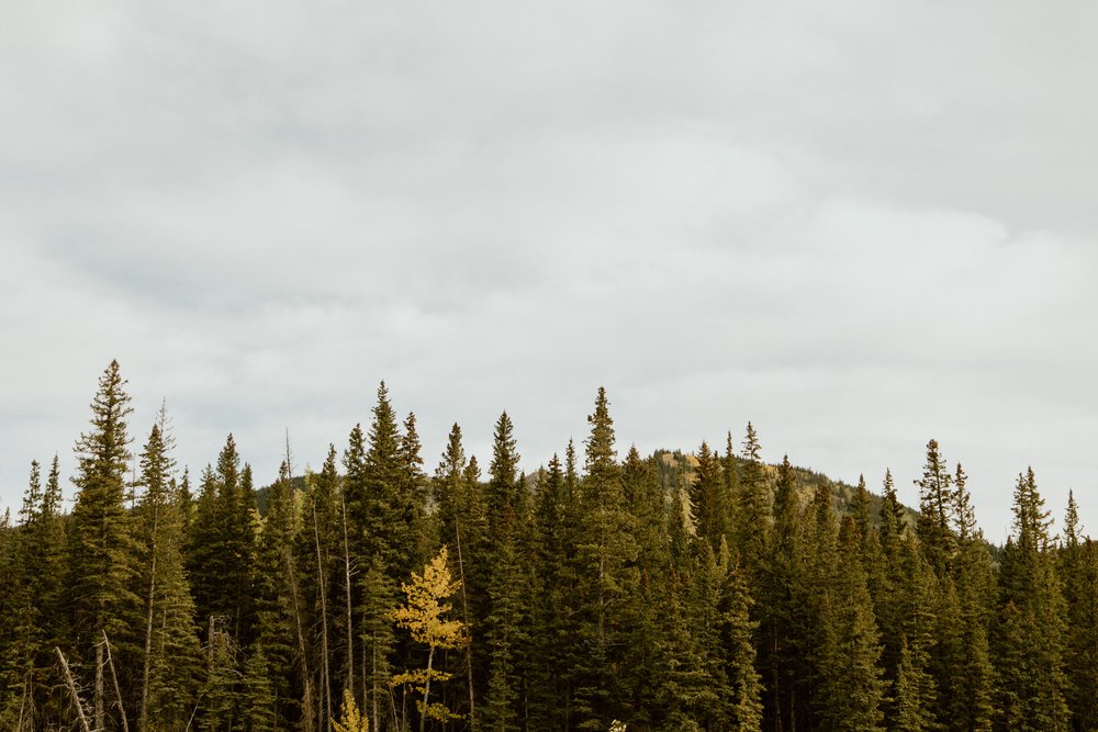 Kananaskis-wedding-photographer-love-and-be-loved-photography-shawn-kati-mountain-engagement-photos-8.jpg