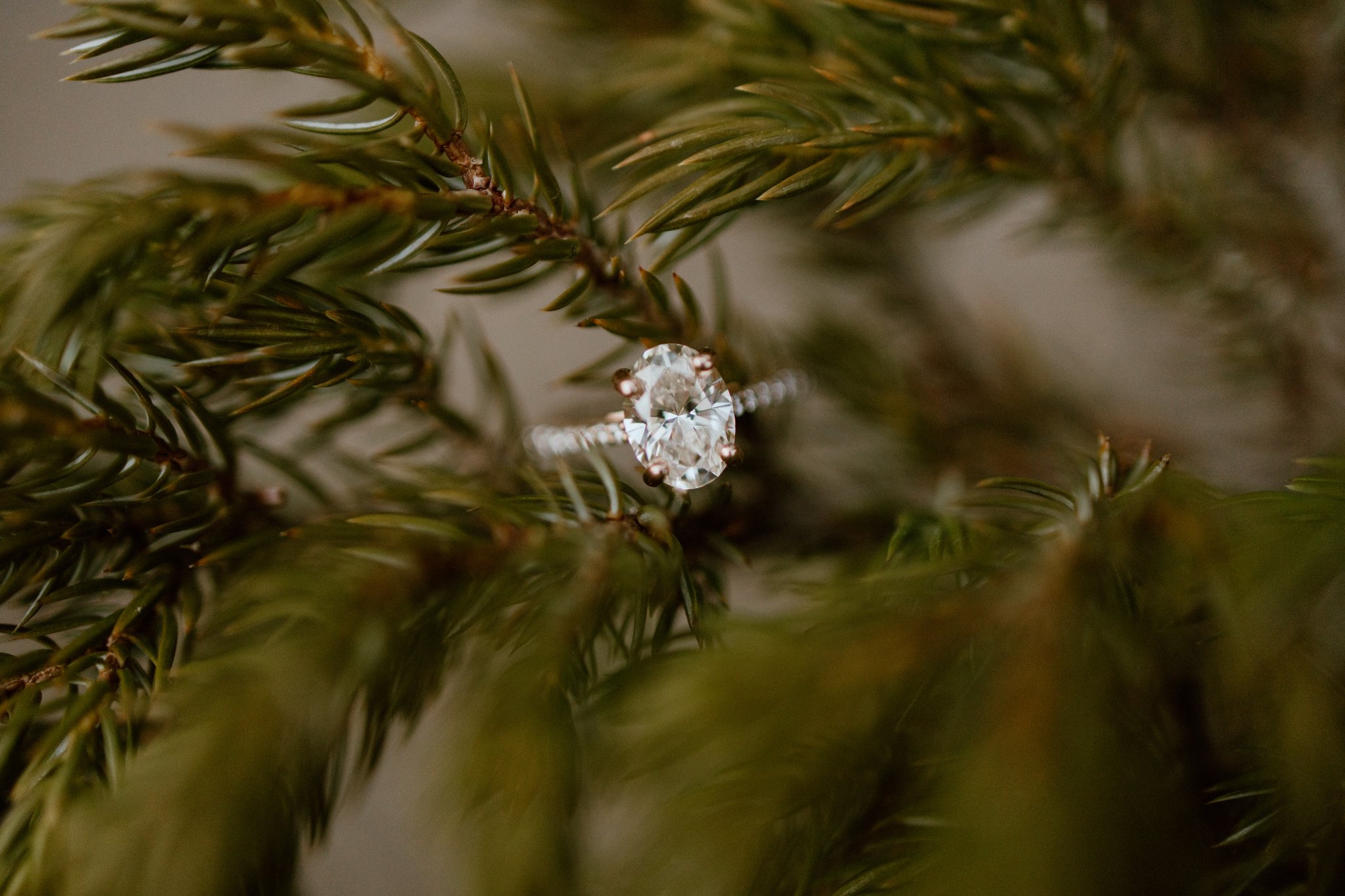 Kananaskis-wedding-photographer-love-and-be-loved-photography-shawn-kati-mountain-engagement-photos-58.jpg