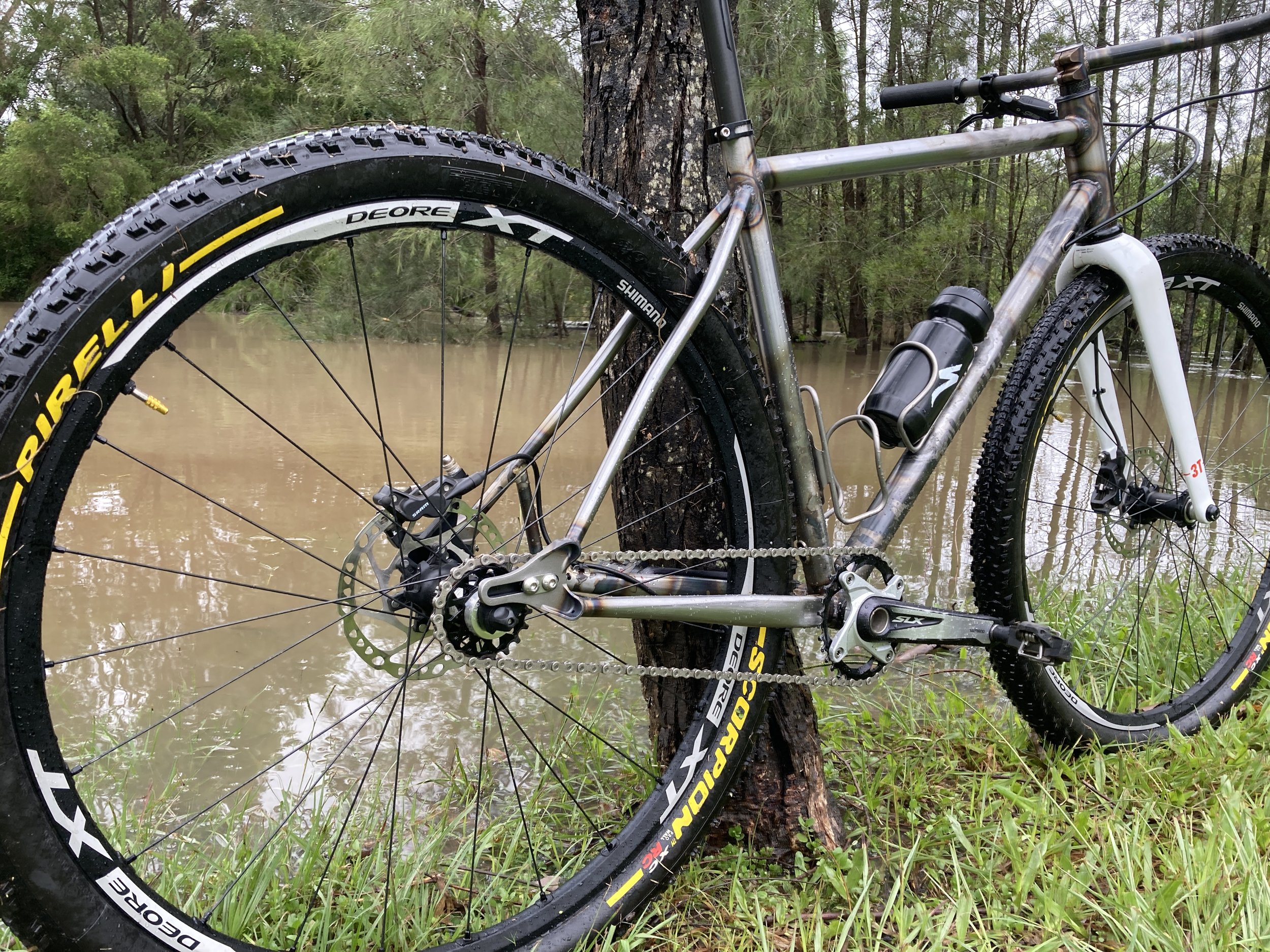 A mountain bike with a metallic frame, black and yellow tires, and disc brakes is placed against a tree near a flooded area in a forest.