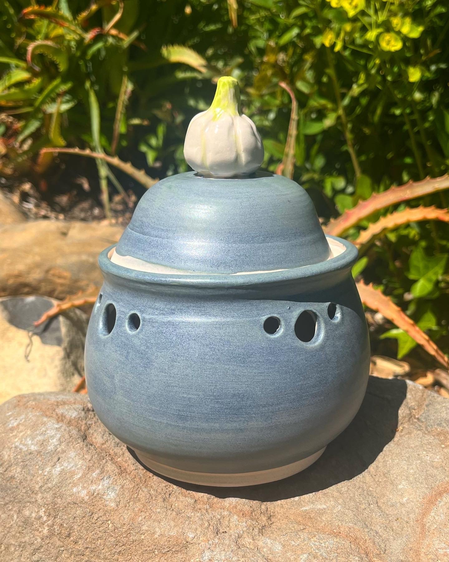 Blue Garlic keeper