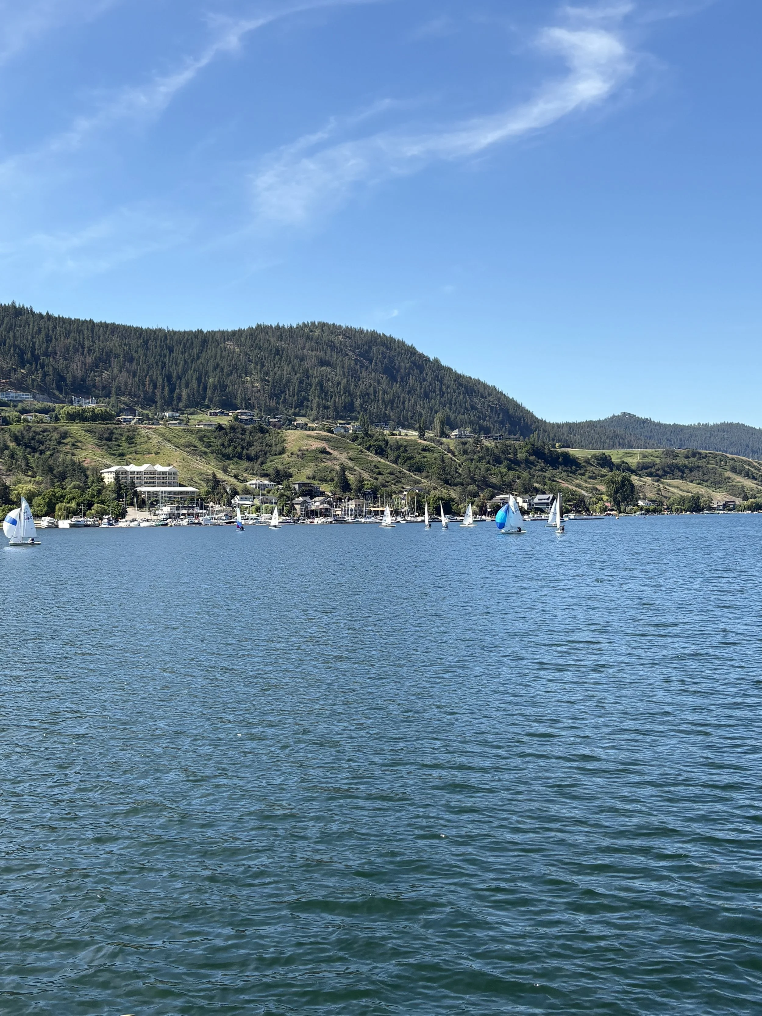 IMG_8738.jpeg