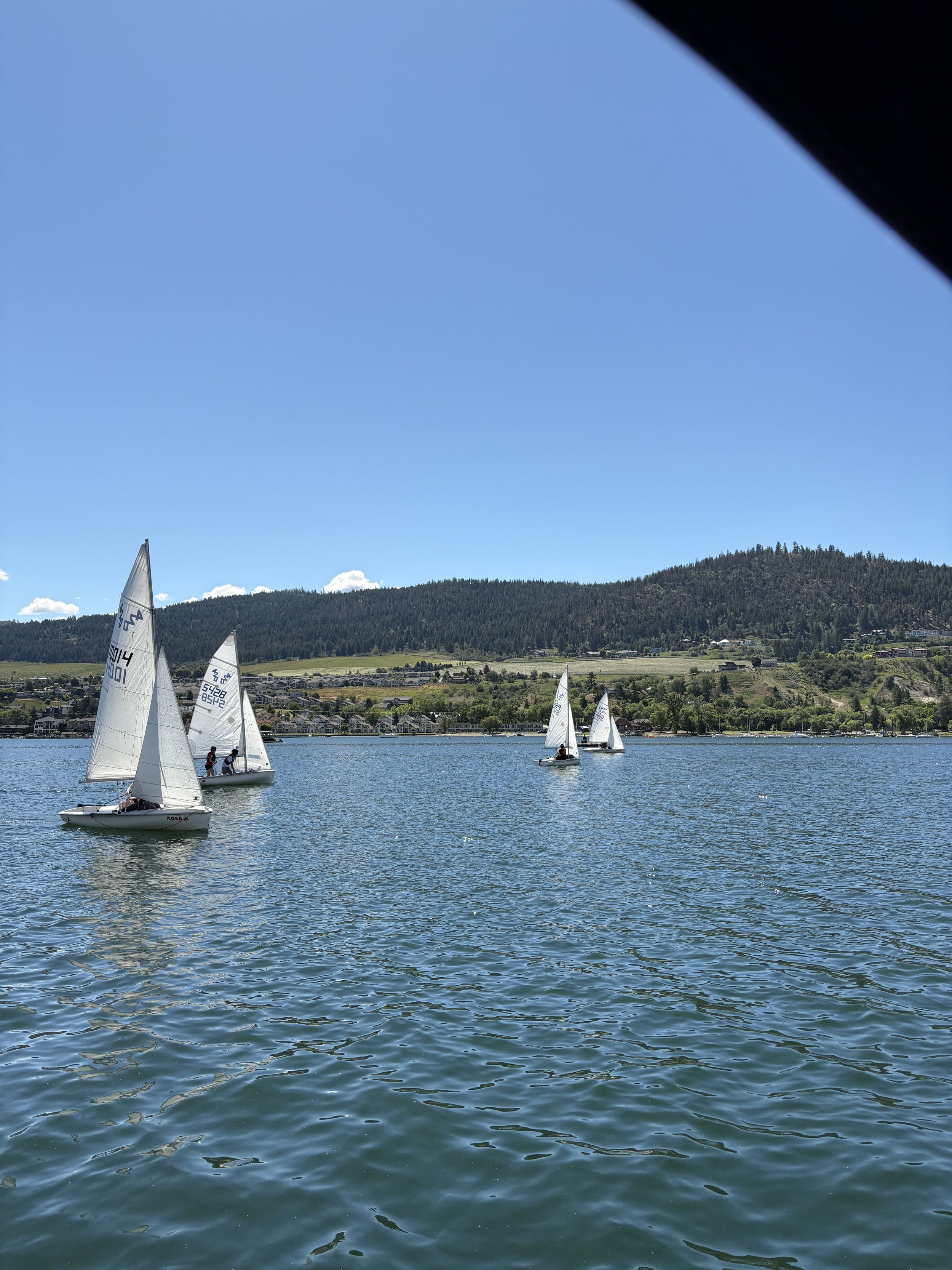 IMG_8658.jpeg