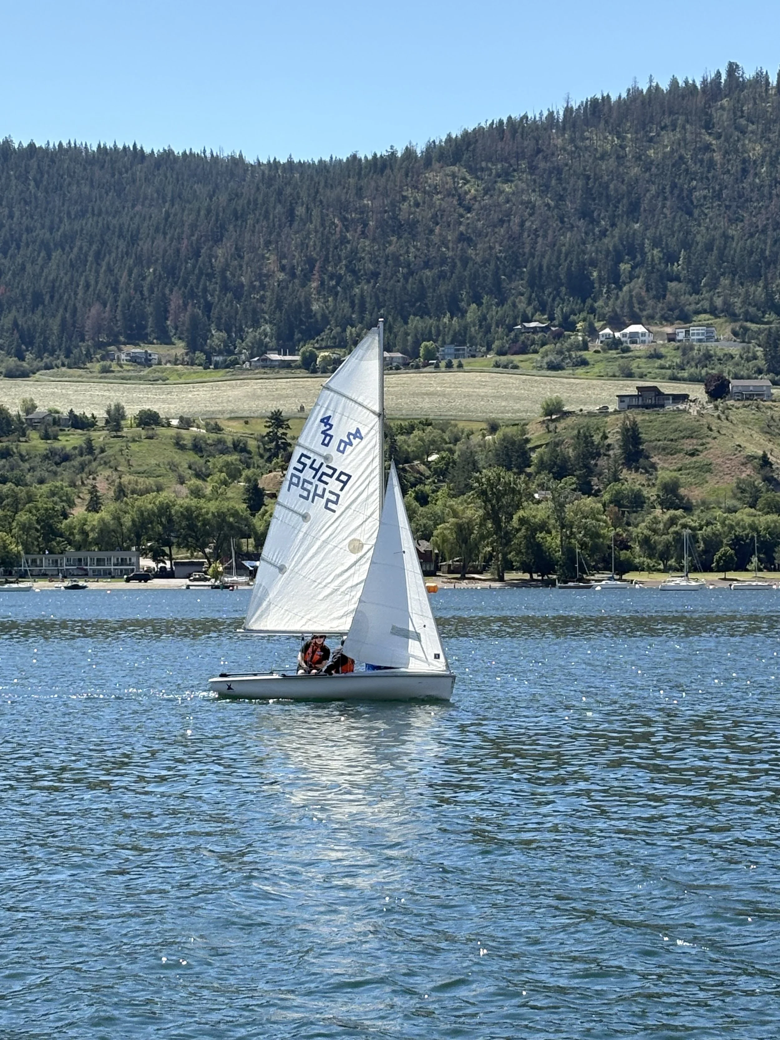 IMG_8652.jpeg