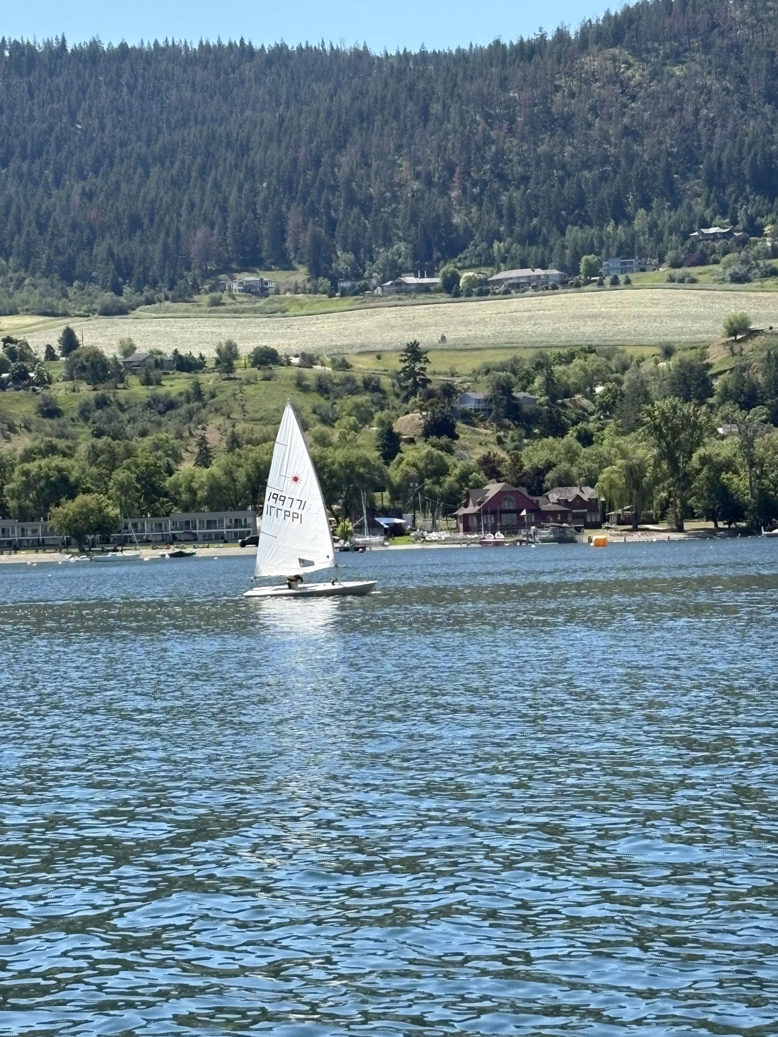 IMG_8645.jpeg