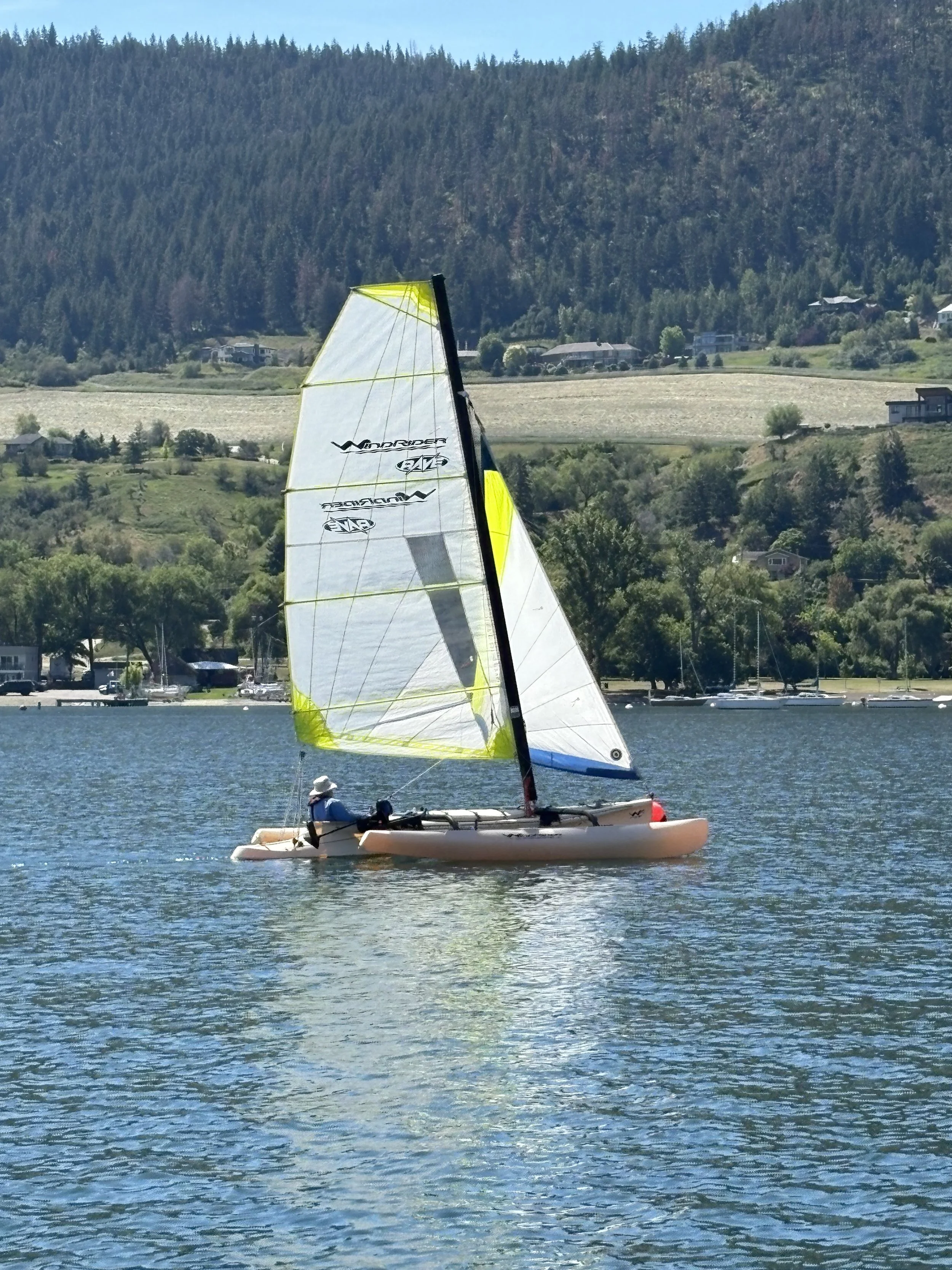 IMG_8790.jpeg