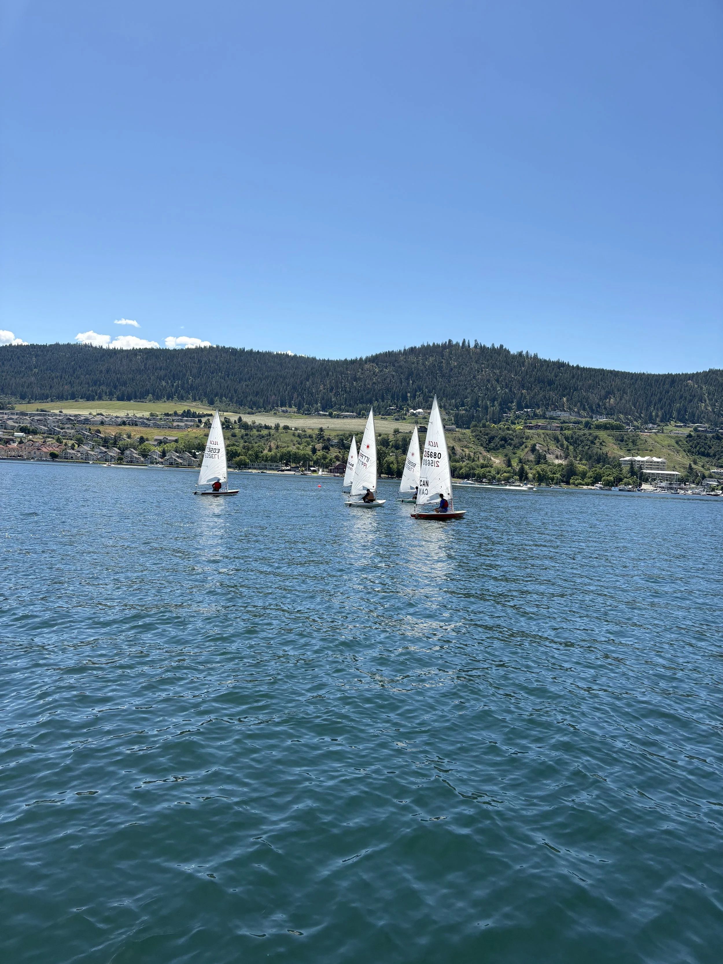 IMG_8668.jpeg