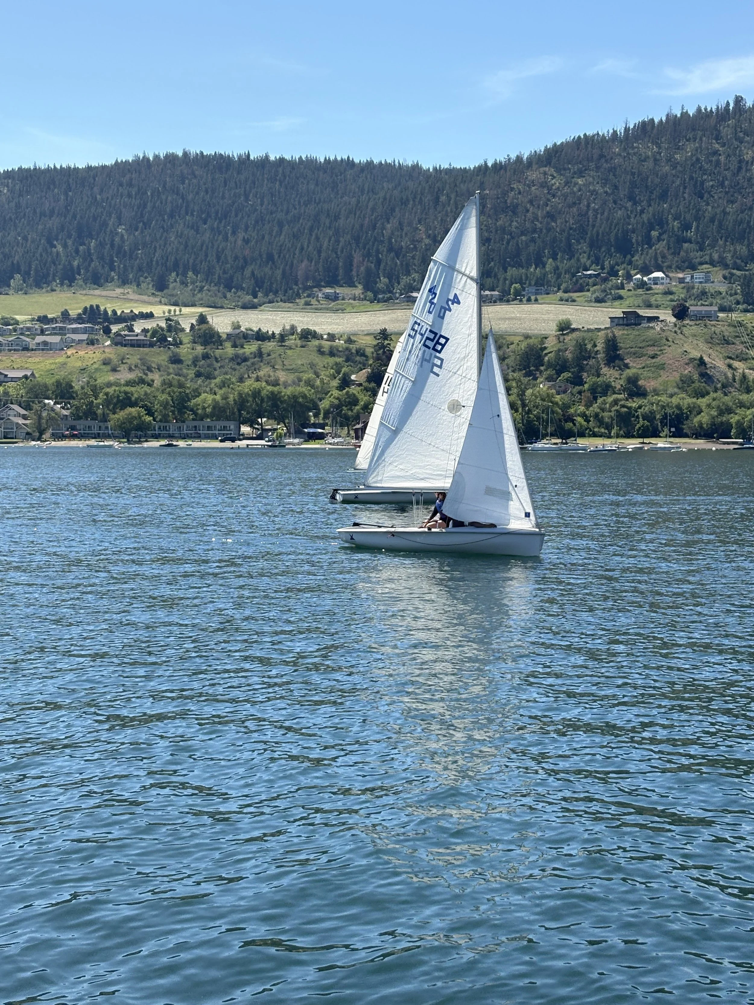 IMG_8792.jpeg