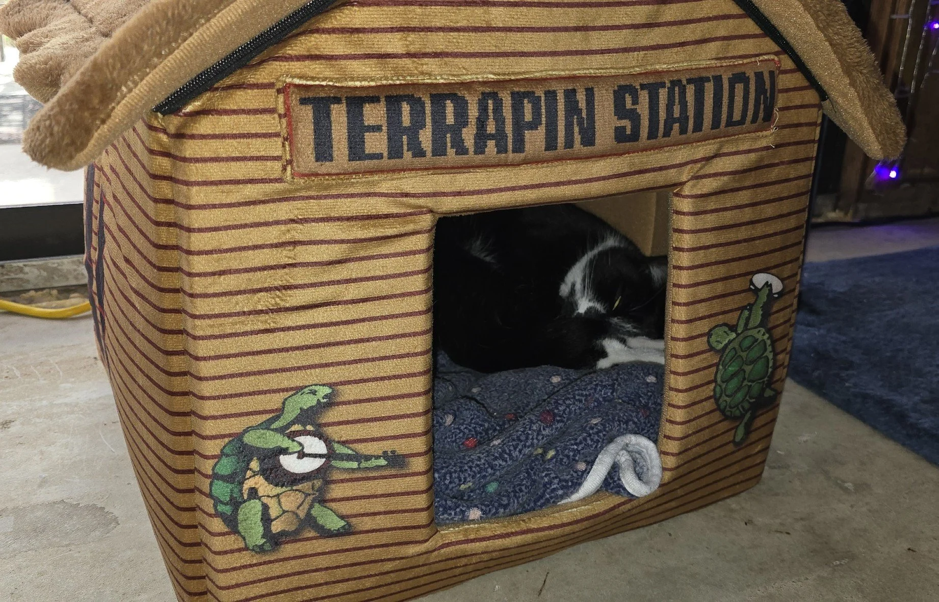 Cat House w Osiris.jpg
