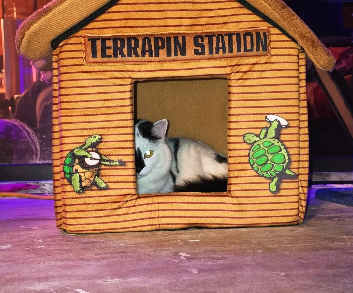 Terrapin Station Pet House