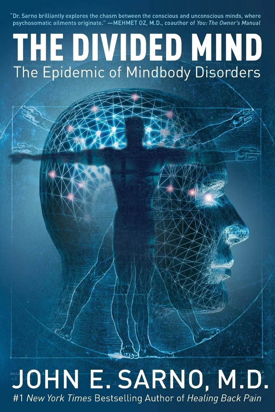 Book cover titled "The Divided Mind: The Epidemic of Mindbody Disorders" by John E. Sarno, M.D. Features a blue-toned digital illustration of a human head and body with interconnected neural network patterns and a silhouette of a person with arms outstretched, representing mind-body connection.