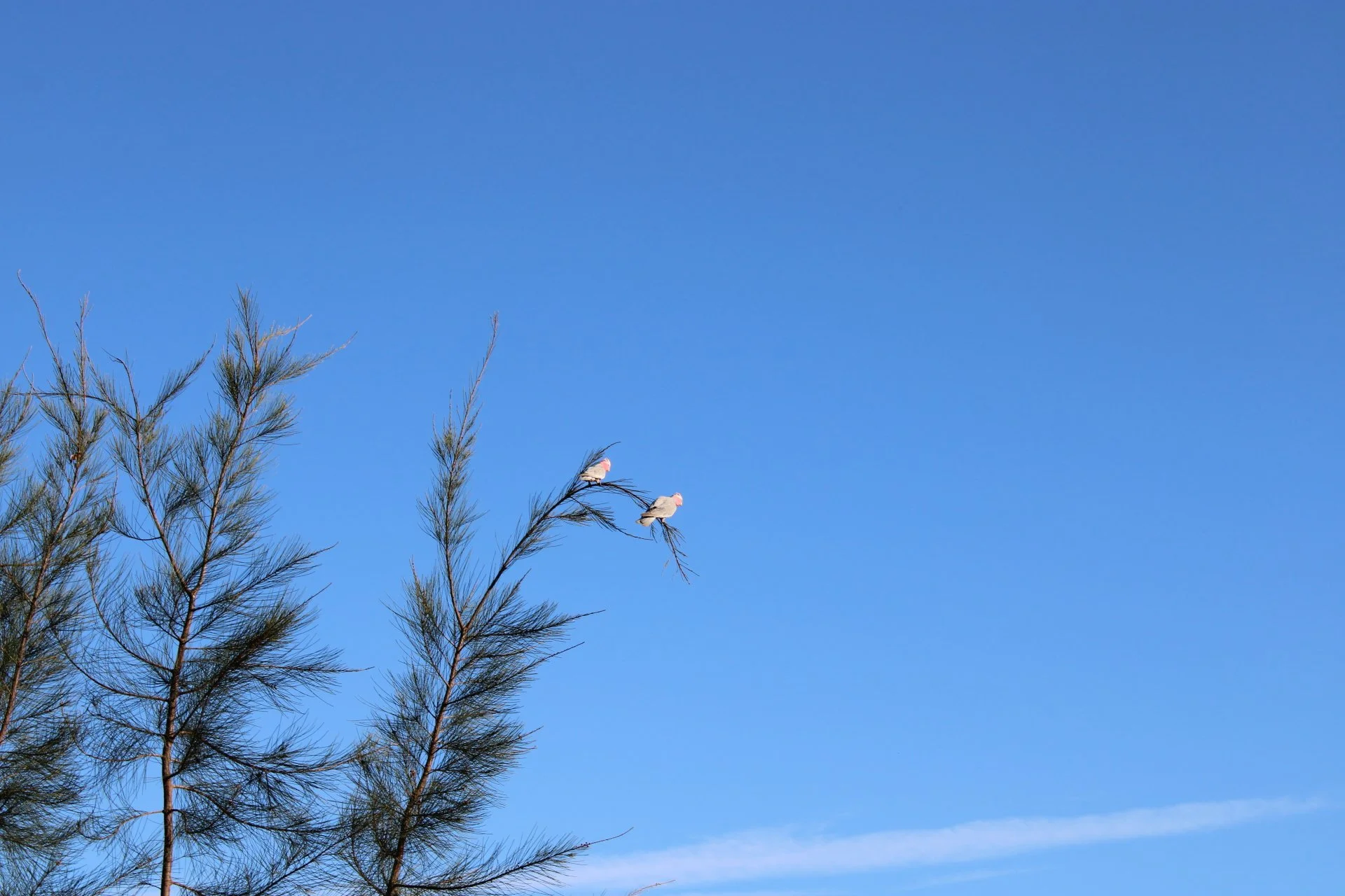 24029_Peopl Watching.JPG