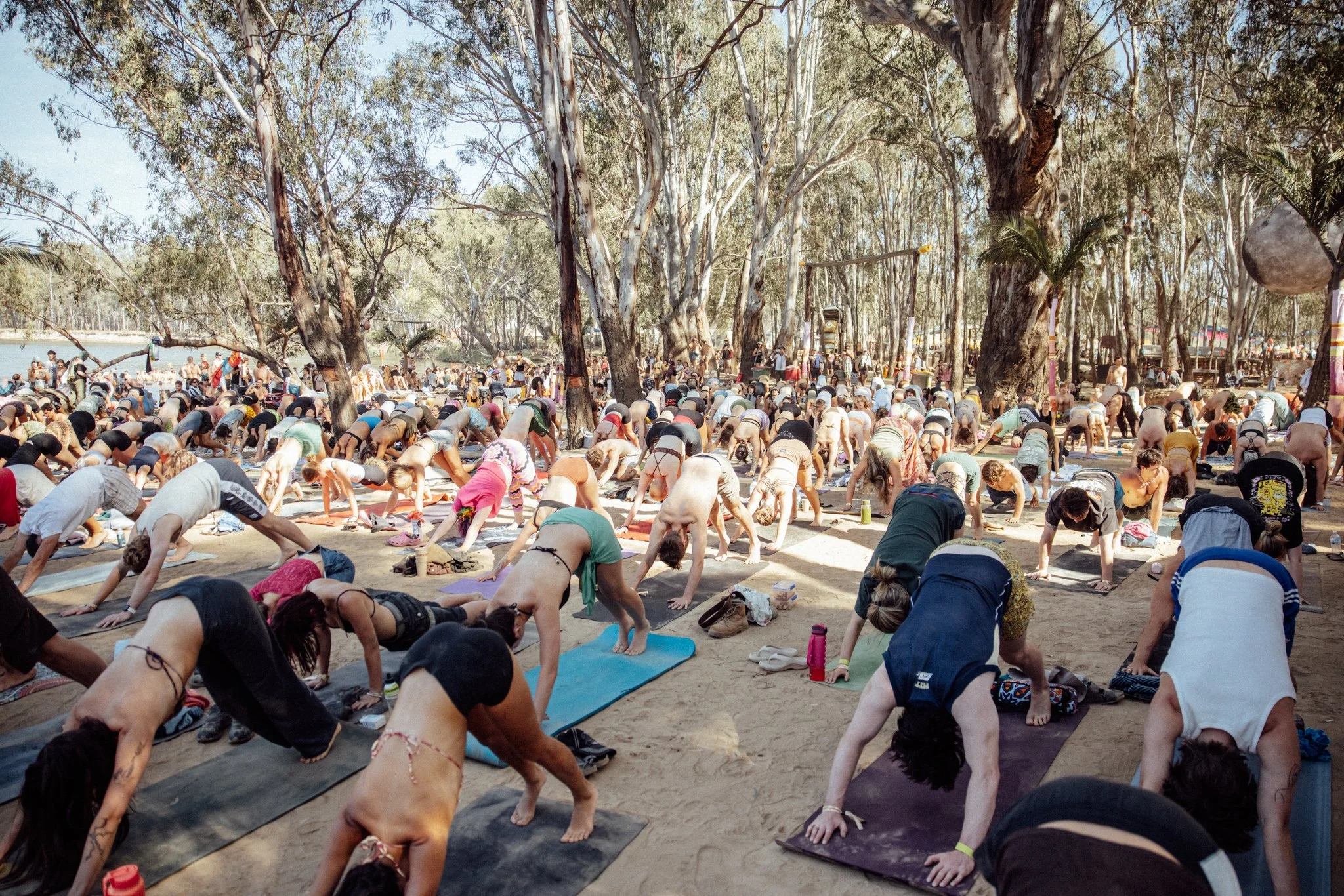 Mar 29 (MEL): Cello Breathwork Immersion at the Abbotsford Convent