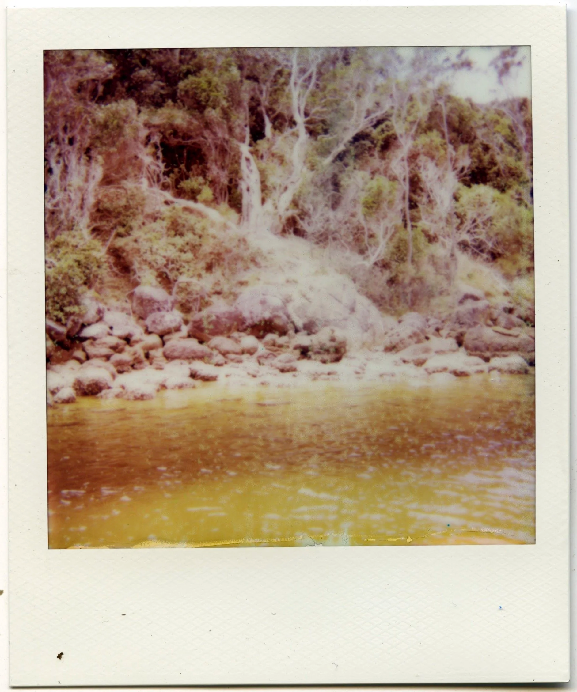 IMG_2786.png
