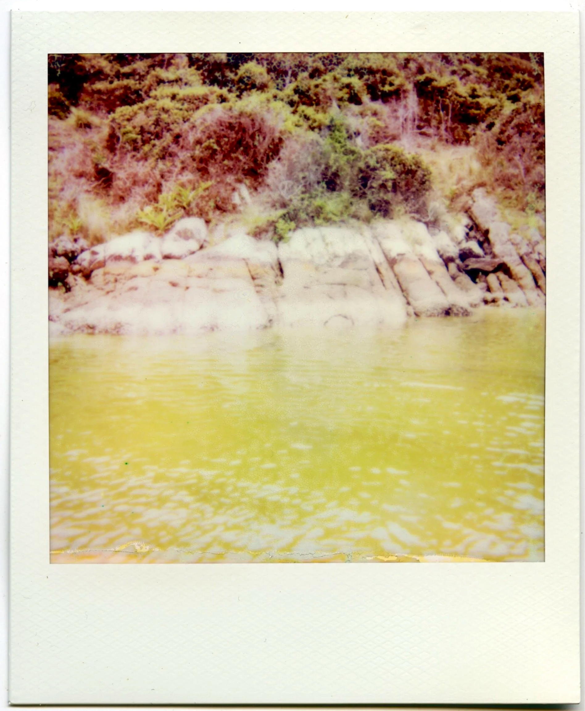 IMG_2787.png