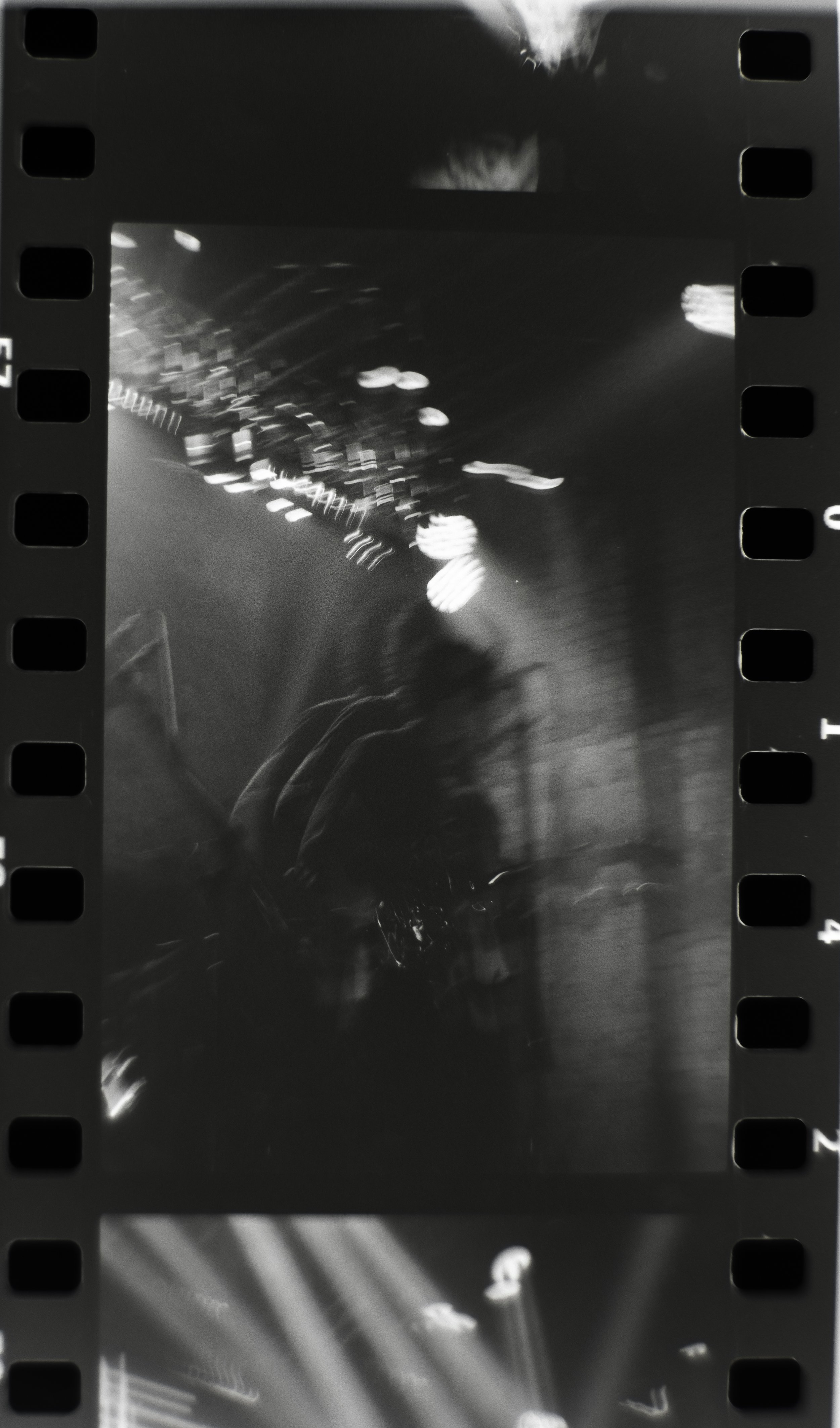 DSCF7629.jpg