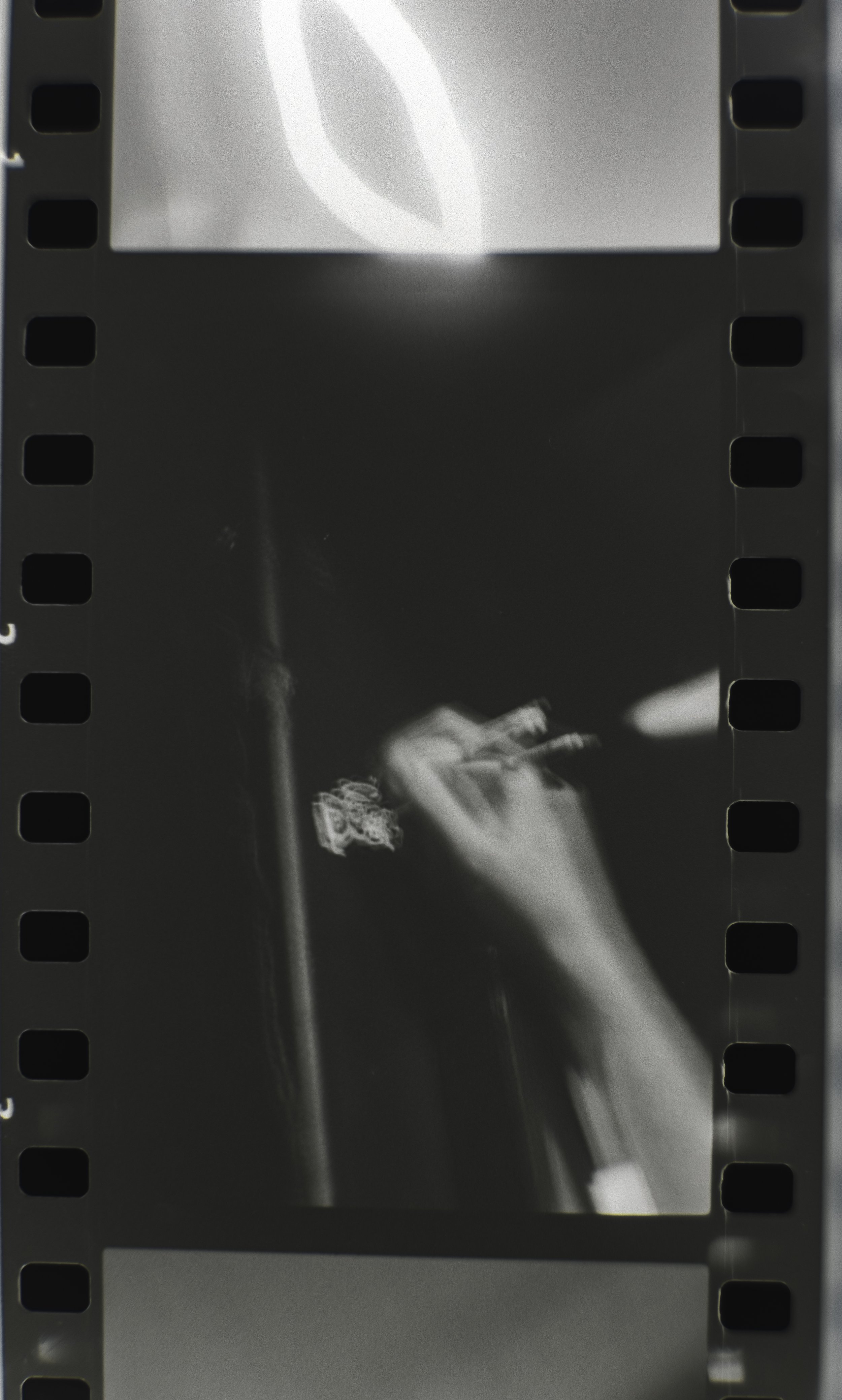 DSCF7593.jpg