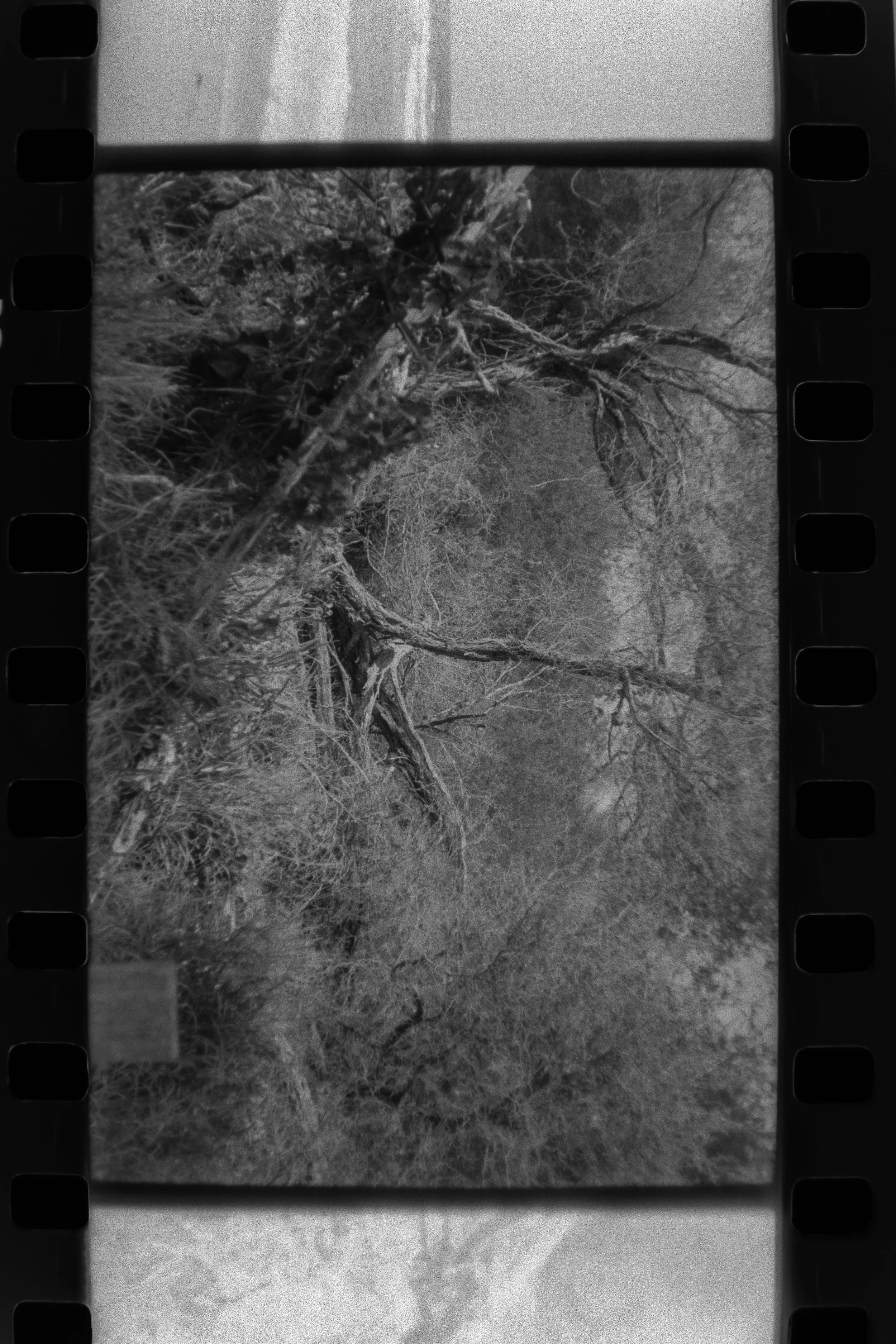 DSCF5097.jpg