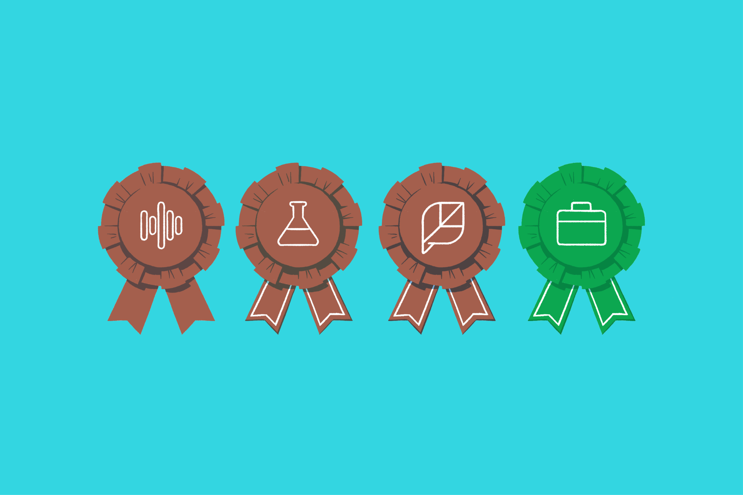 Ribbons with unique illustrations are used to distinguish between certifications. There is also a coloring scheme that delineates either the certificate level - bronze, silver, and gold - or that the credential is specifically for agency partners (gr