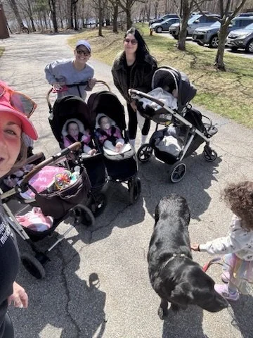 M4M Cutler Park - Social Walk