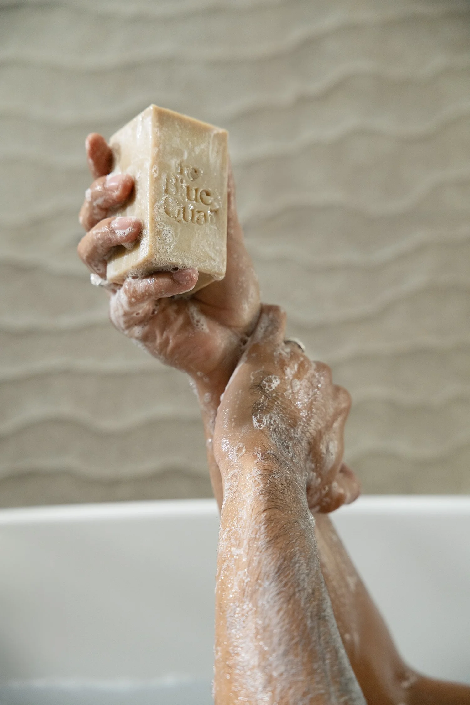 250928_Blue_Quail9161-2 (2).jpg