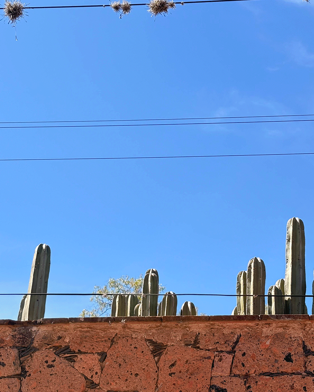 Fotos de contexto de Tula