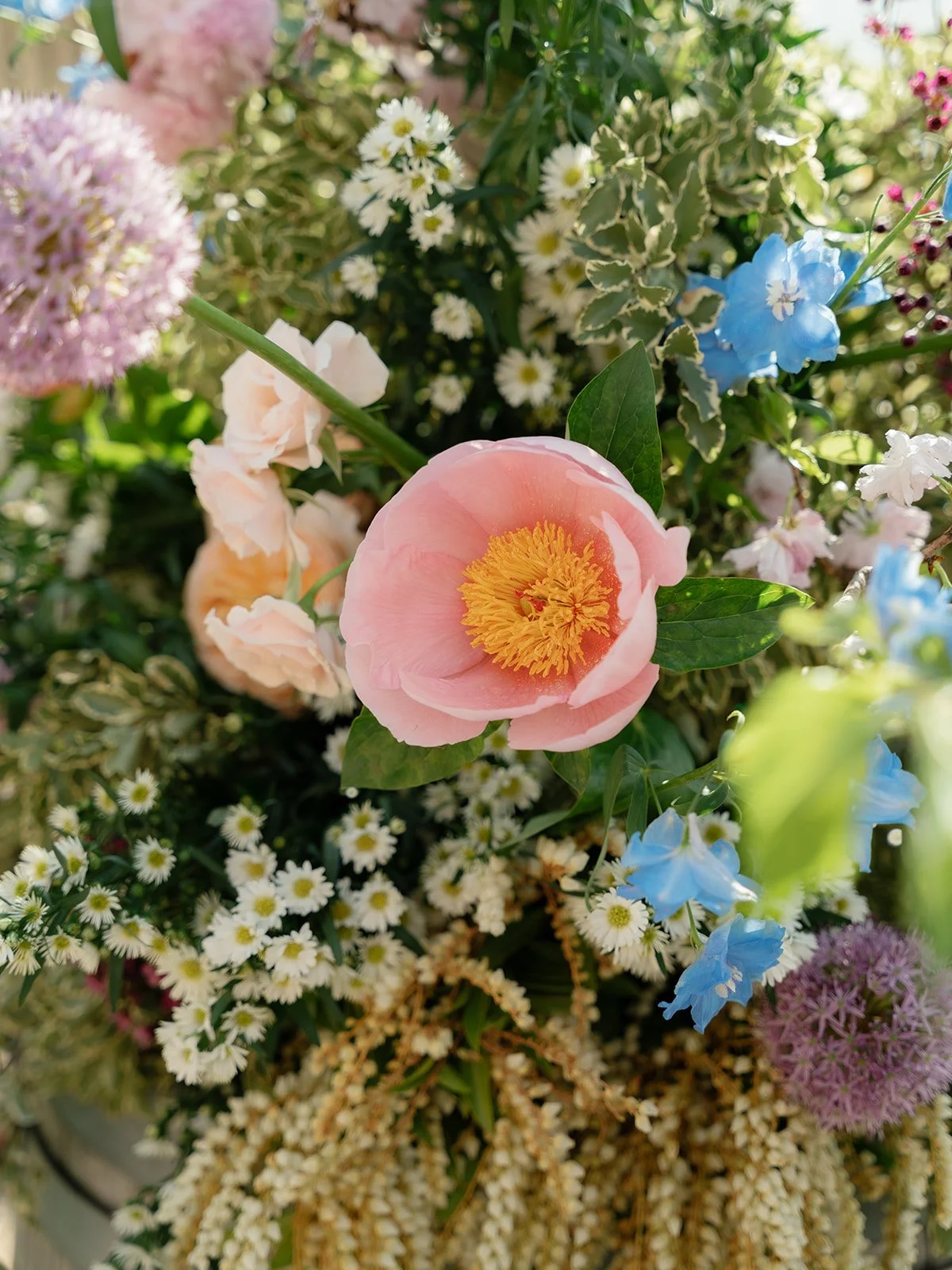 E&amp;C-STRONG ROPE BREWERY