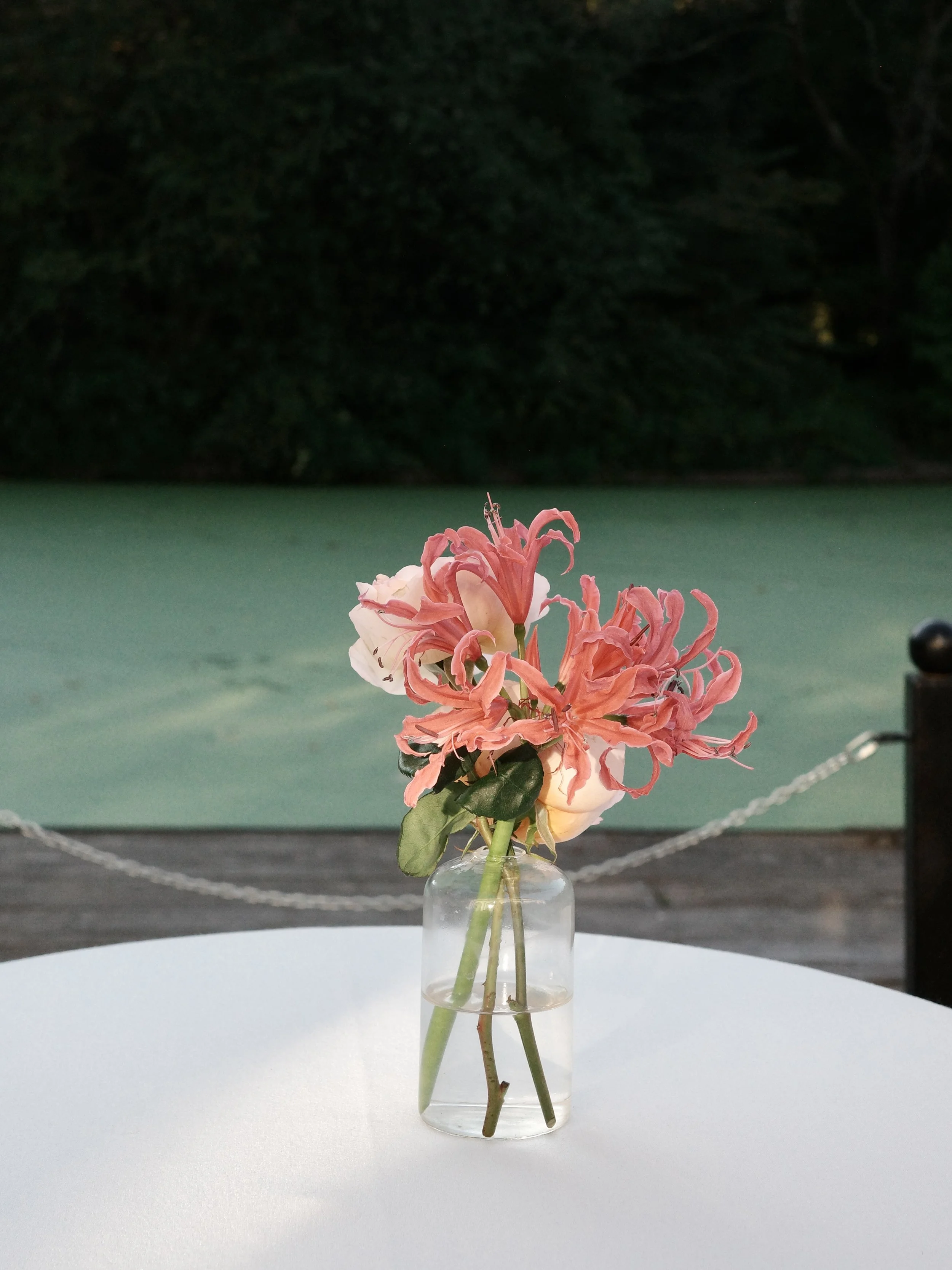 M&amp;M - PROSPECT PARK BOATHOUSE