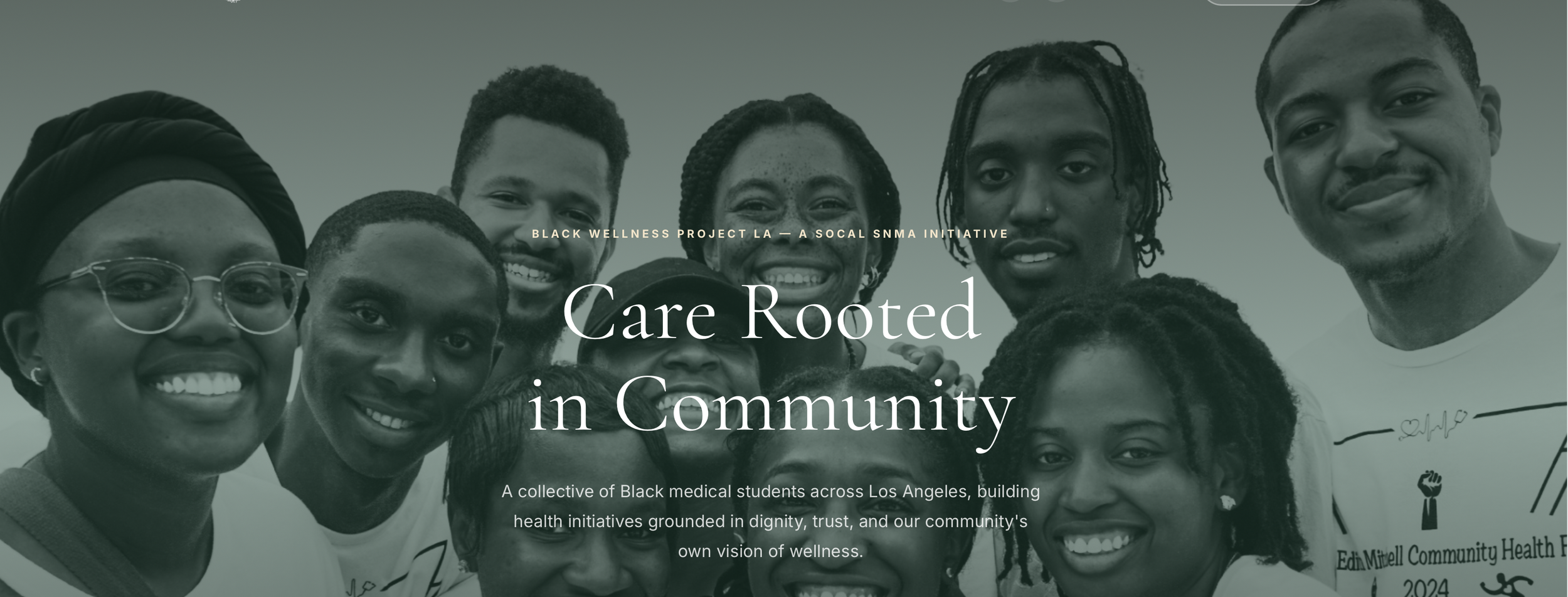 Black Wellness Project- Community Health Fair