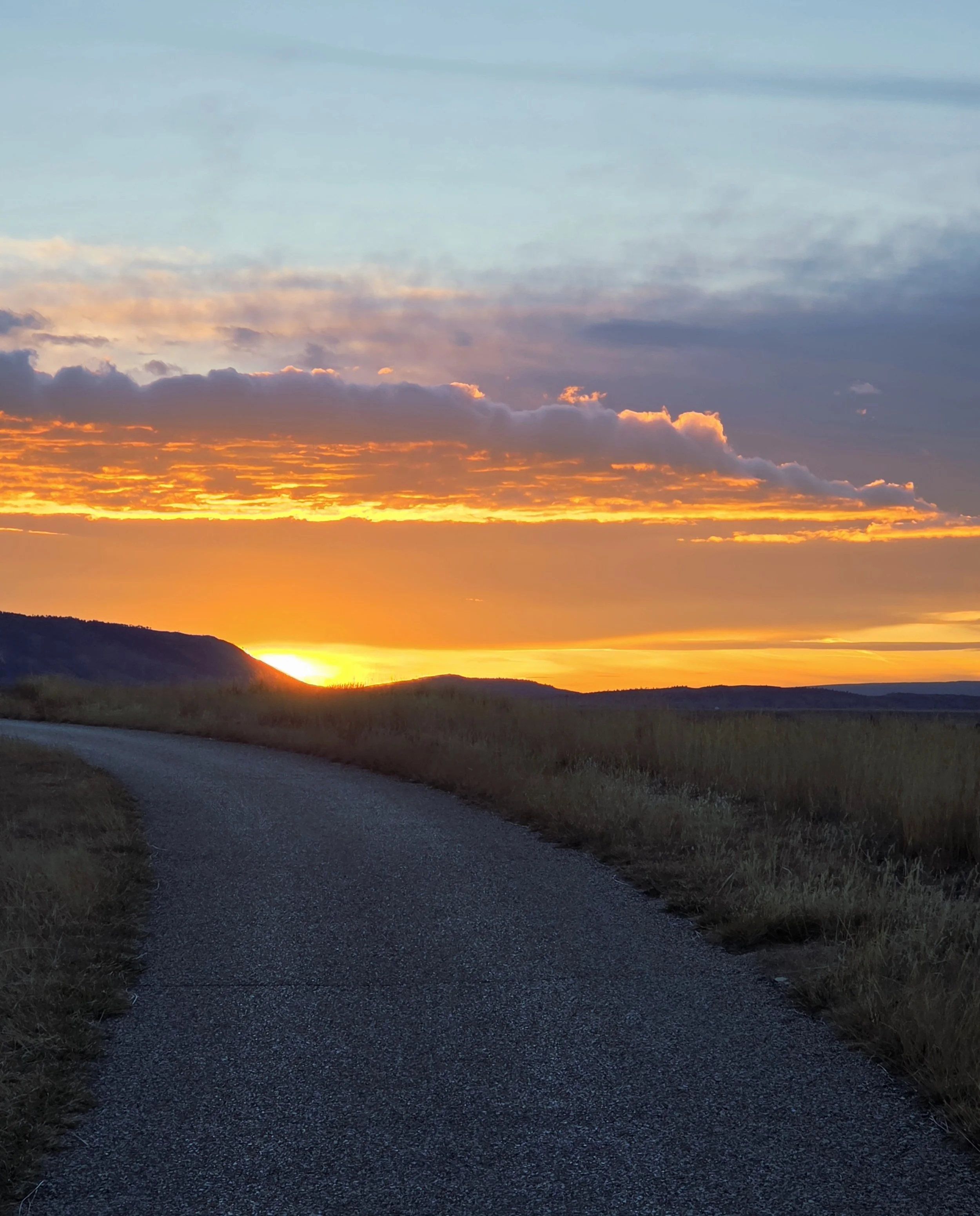 Perspective 12/02/2025