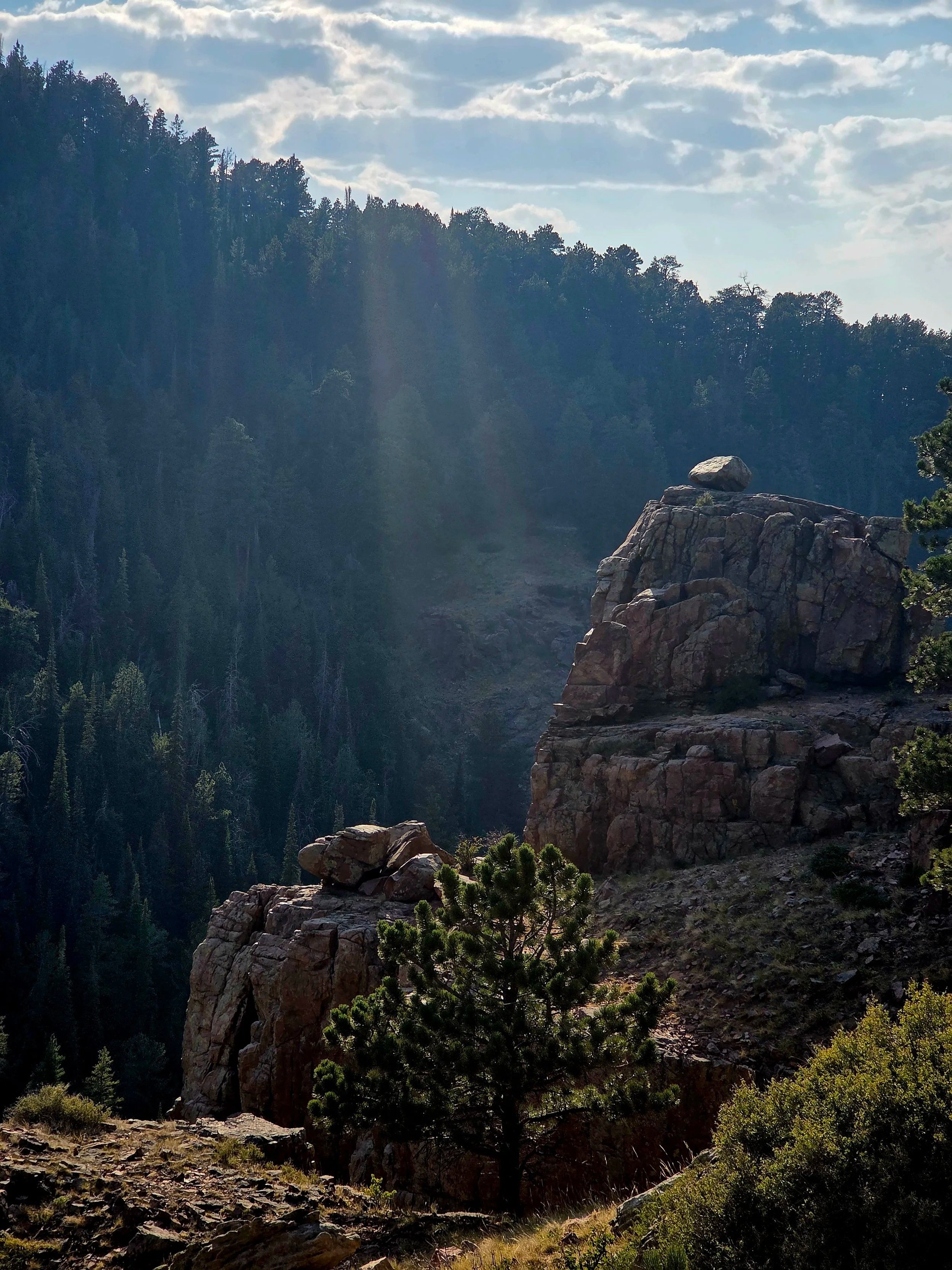 Guided Meditation