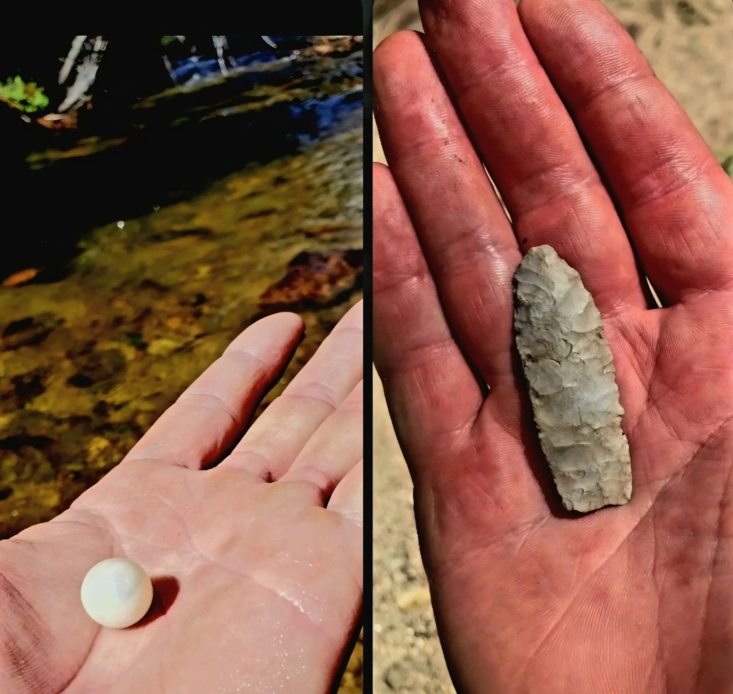 The Point and The Pearl