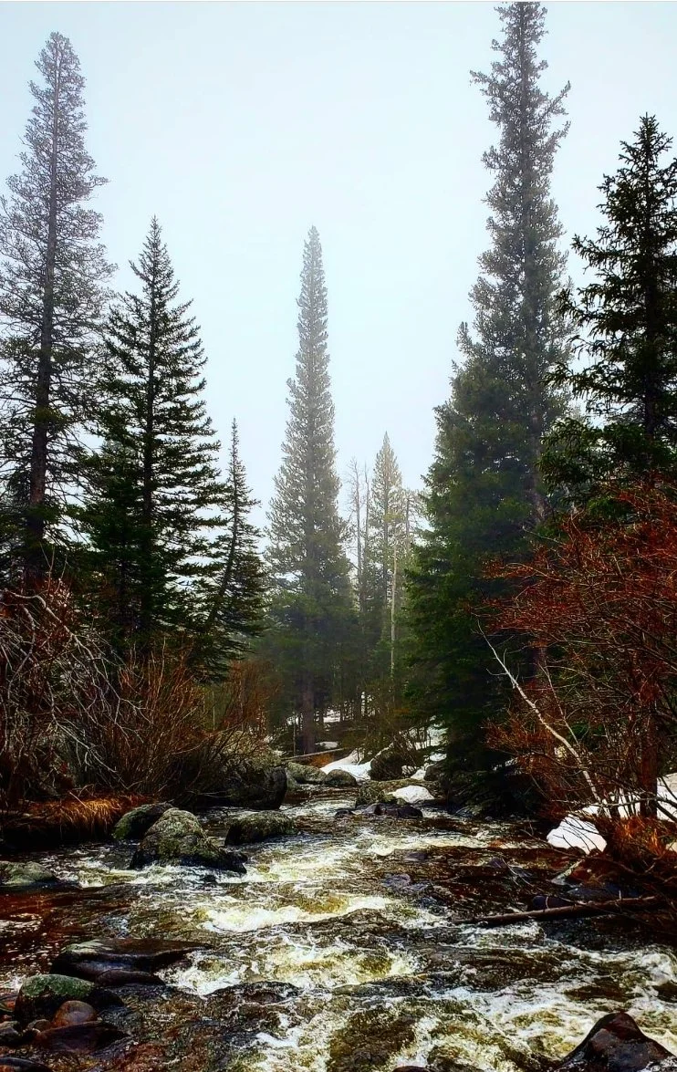 Middle St. Vrain Creek 2021