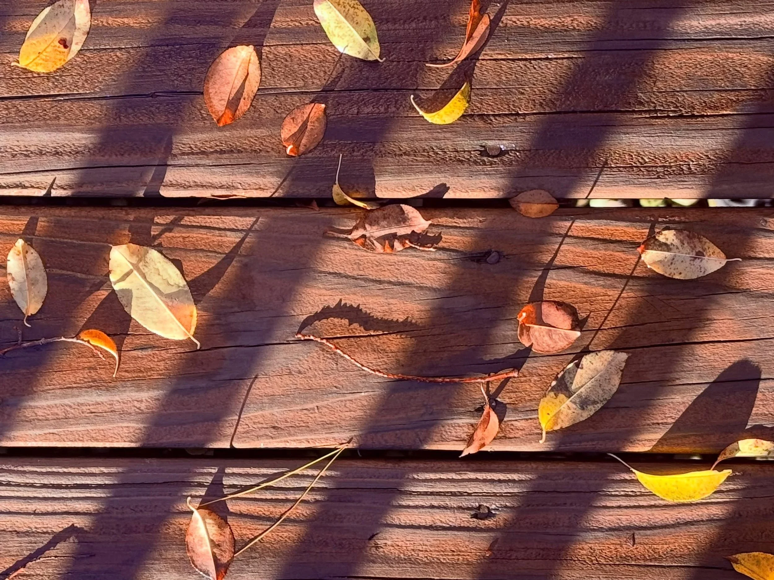 This scene greeted me this morning from the deck. Grainy wood speckled by nature&rsquo;s hand in bright yellow leaves criss-crossed with shadows&mdash;a pattern-lovers dream. Bit of a metaphor for life these days, too. Working on a lot behind the sce